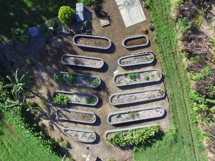 Lennox Community Gardens: July