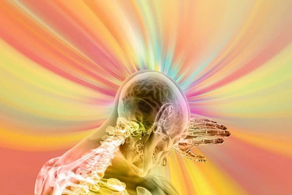 brain.jpg