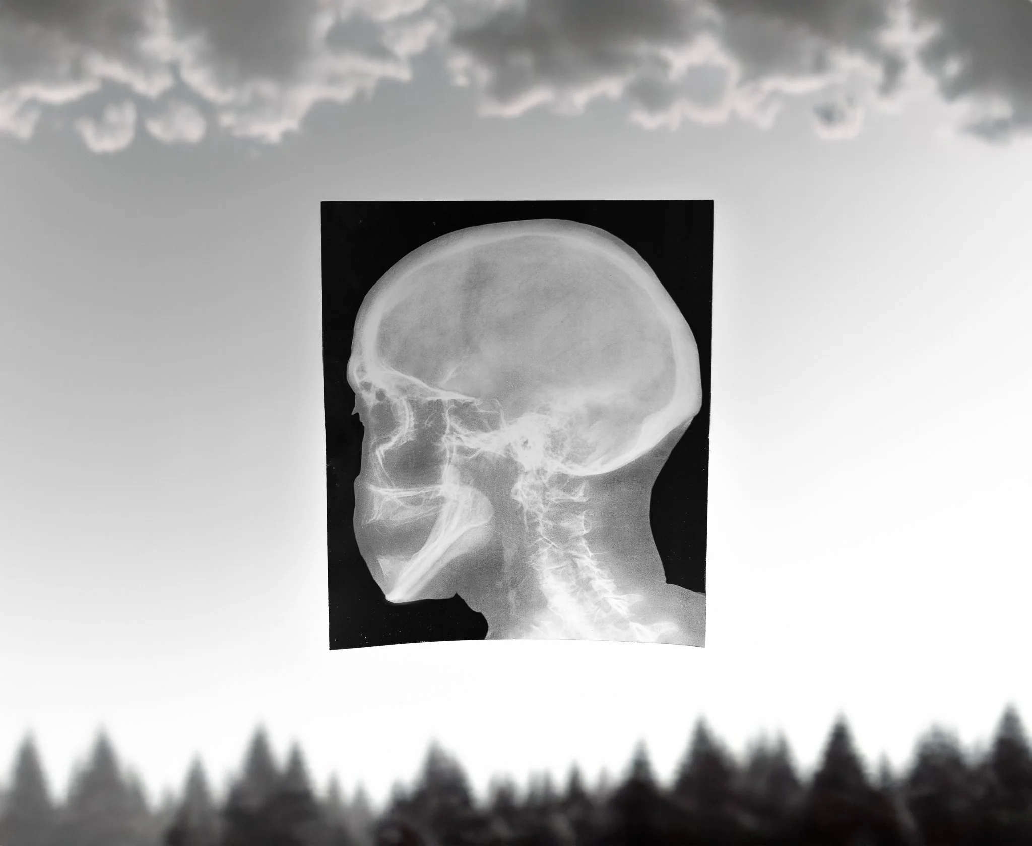 THE WAY ALL THINGS FALL APART