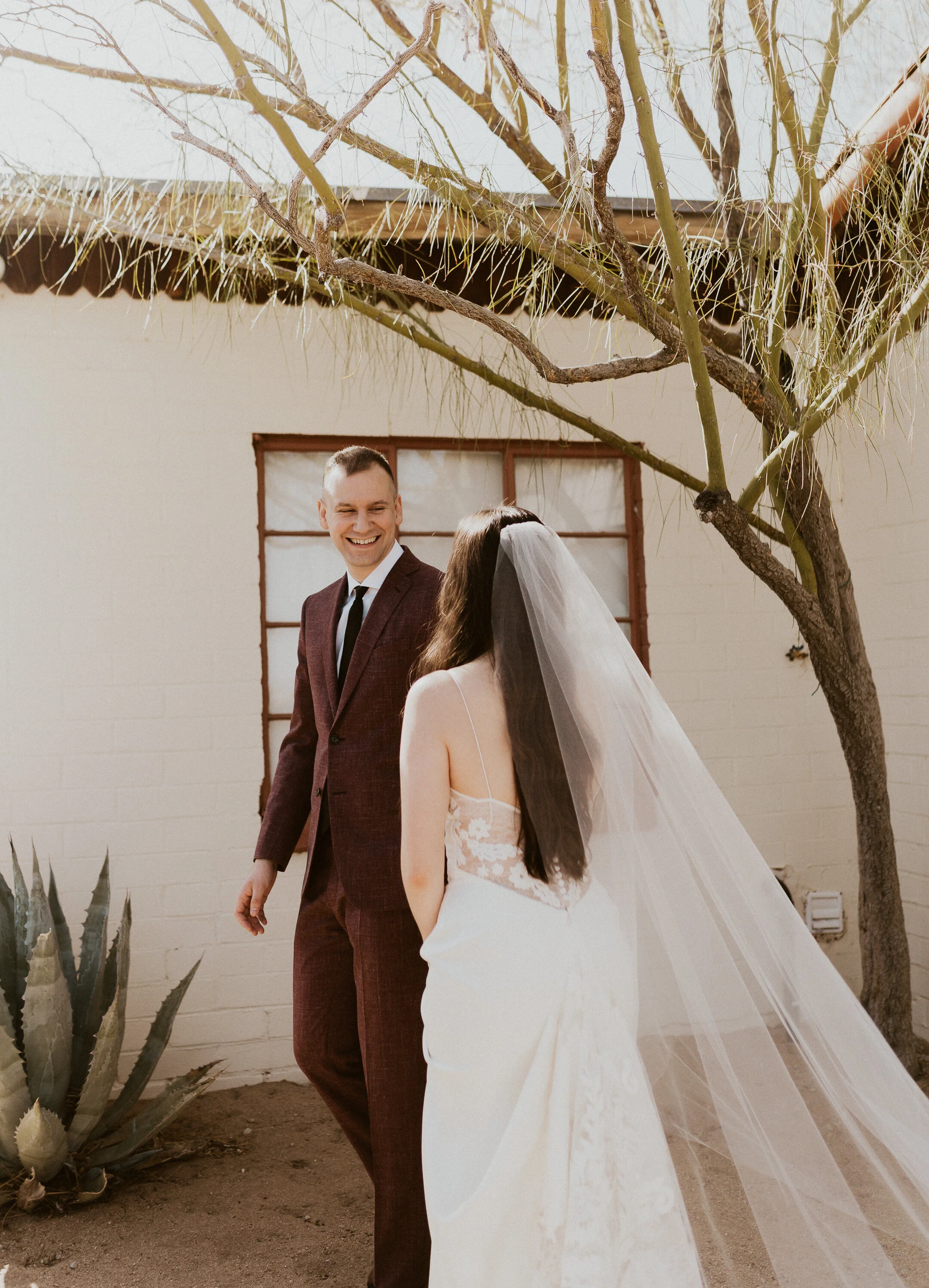 ale-cam-joshua-tree-national-park-elopement-lauren-turner-photography-09653.jpg