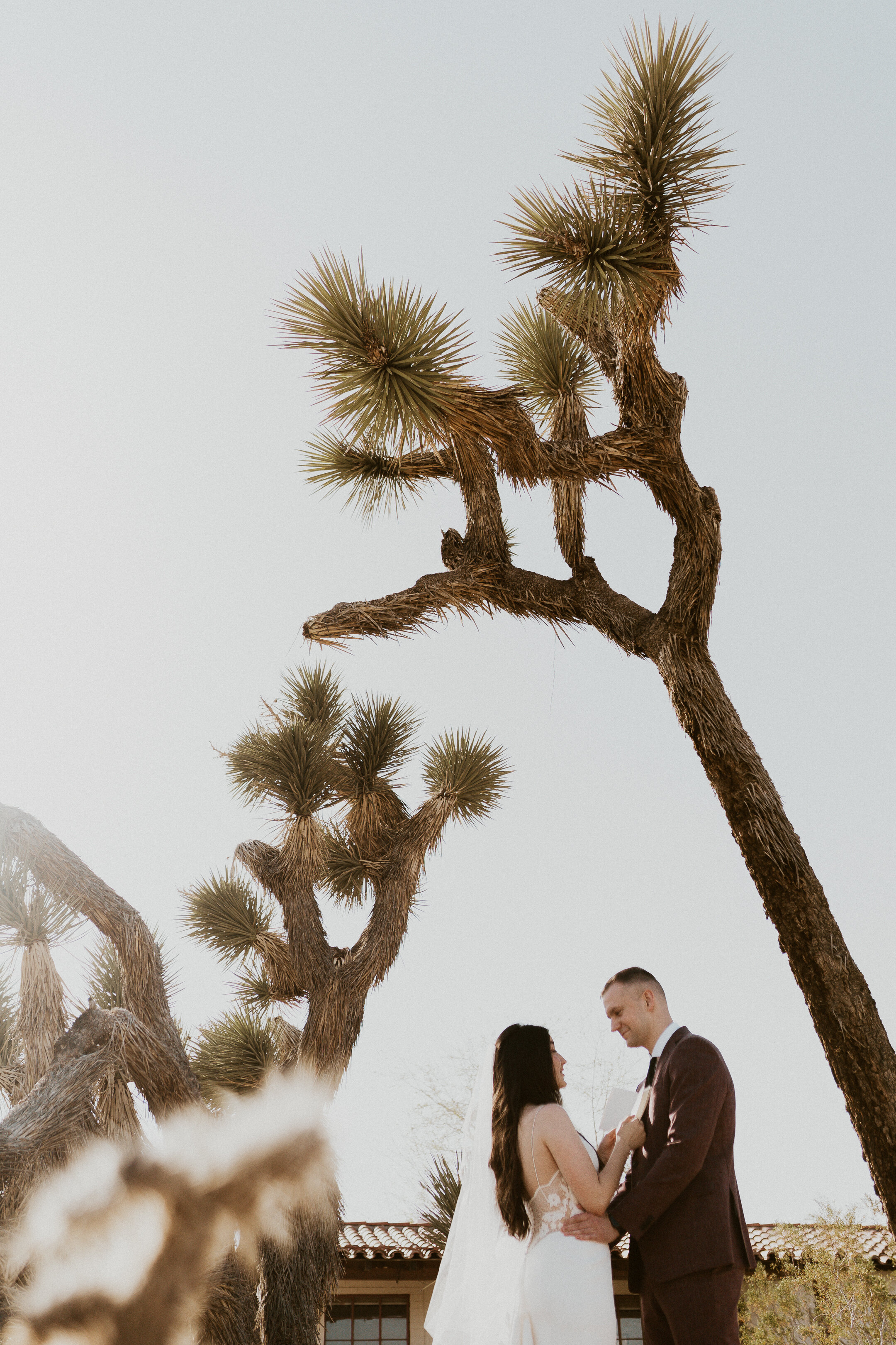 ale-cam-joshua-tree-national-park-elopement-lauren-turner-photography-09685.jpg