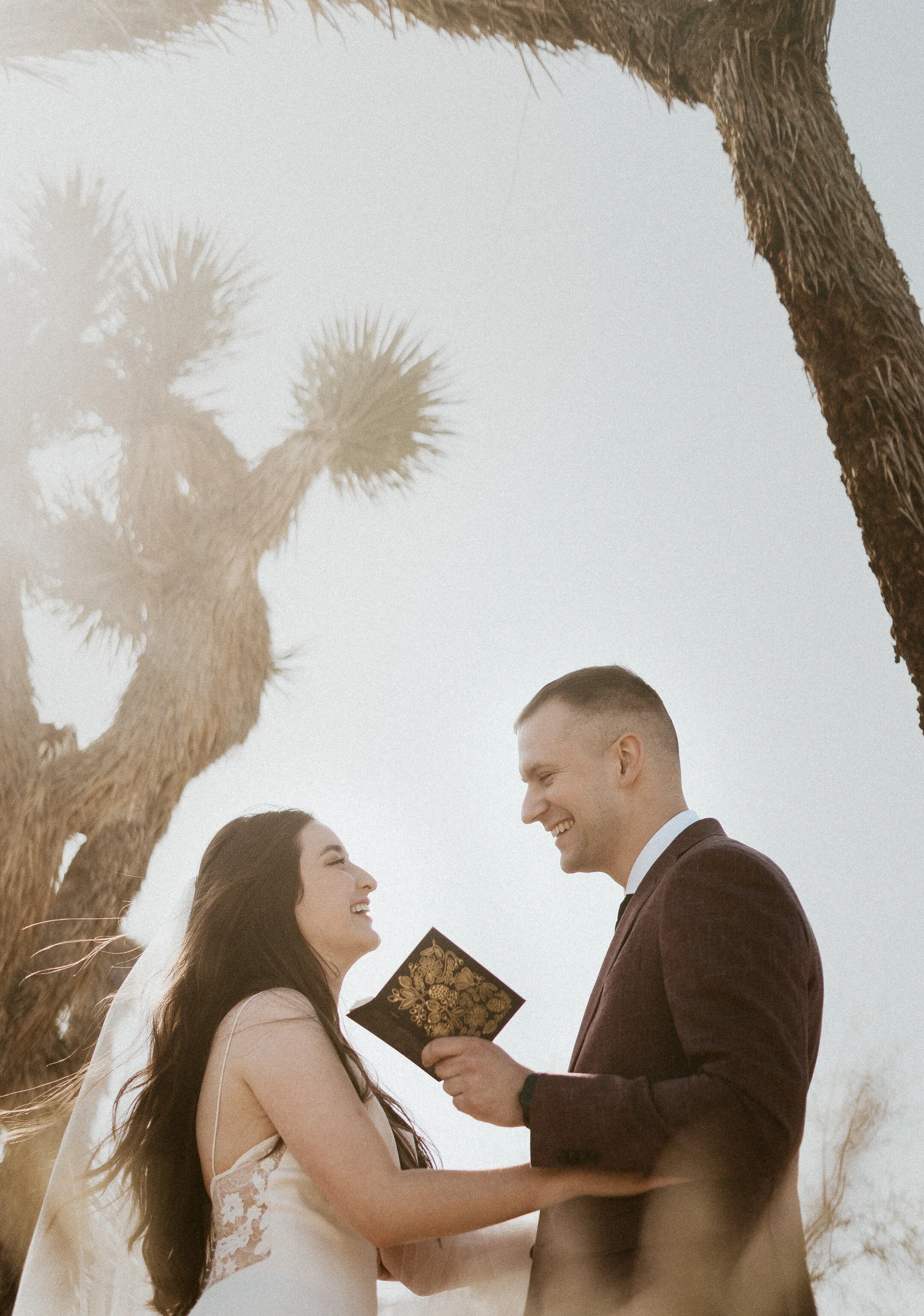 ale-cam-joshua-tree-national-park-elopement-lauren-turner-photography-01429.jpg