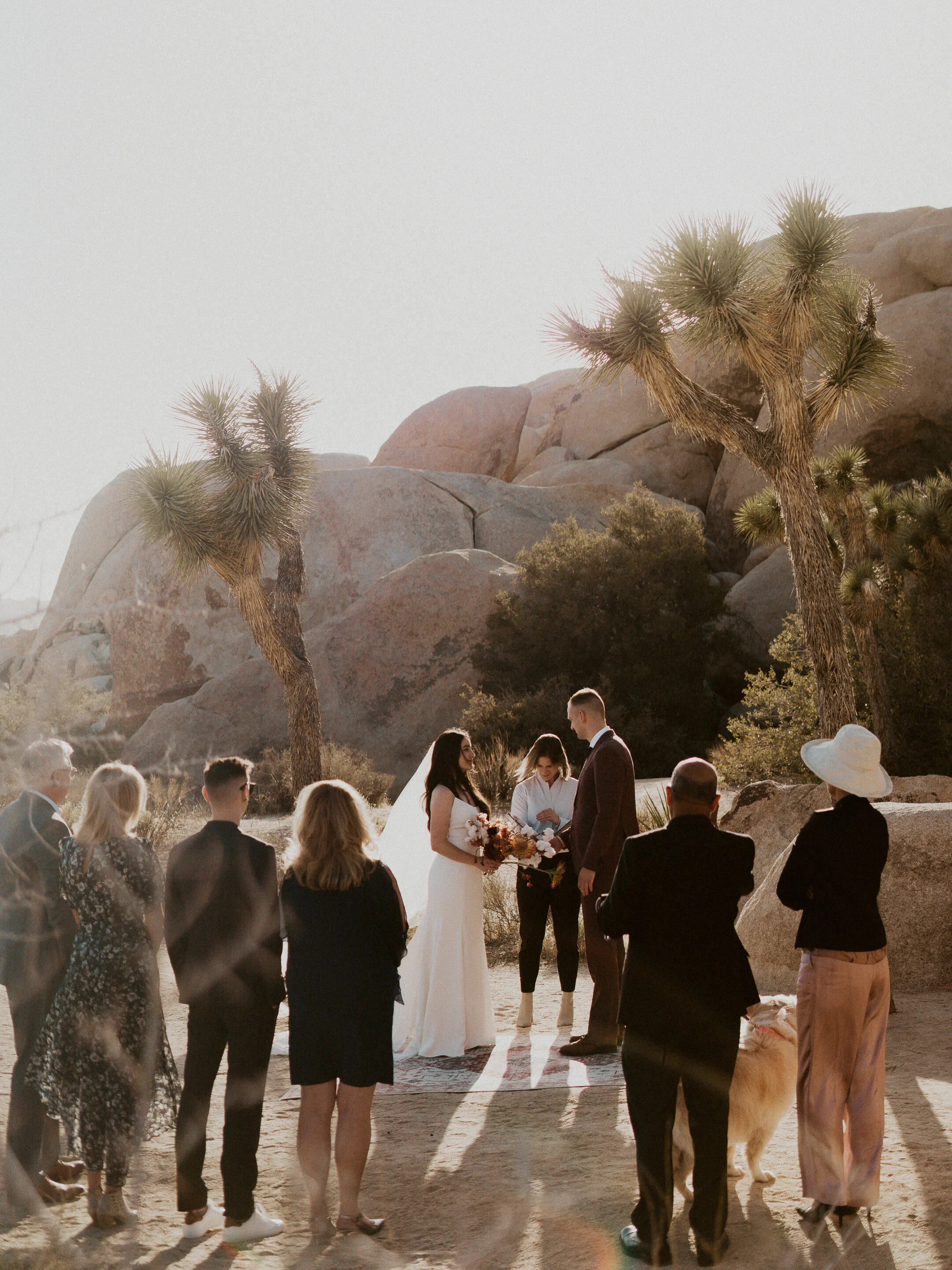 ale-cam-joshua-tree-national-park-elopement-lauren-turner-photography-01495.jpg