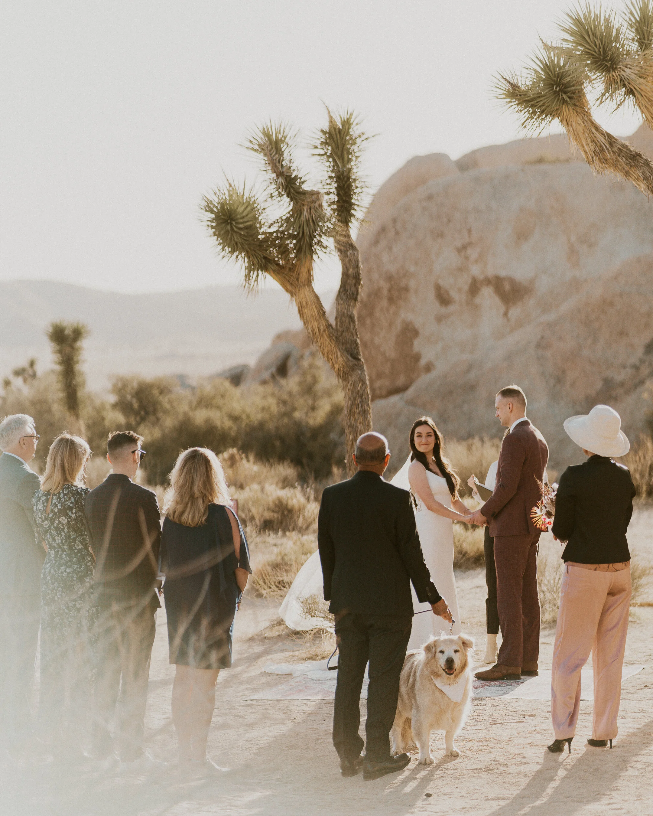 ale-cam-joshua-tree-national-park-elopement-lauren-turner-photography-09805.jpg