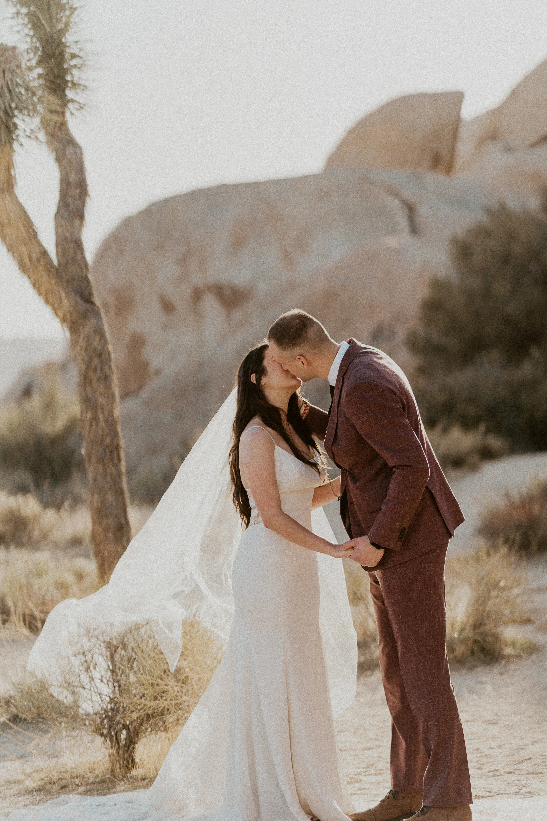 ale-cam-joshua-tree-national-park-elopement-lauren-turner-photography-09873.jpg