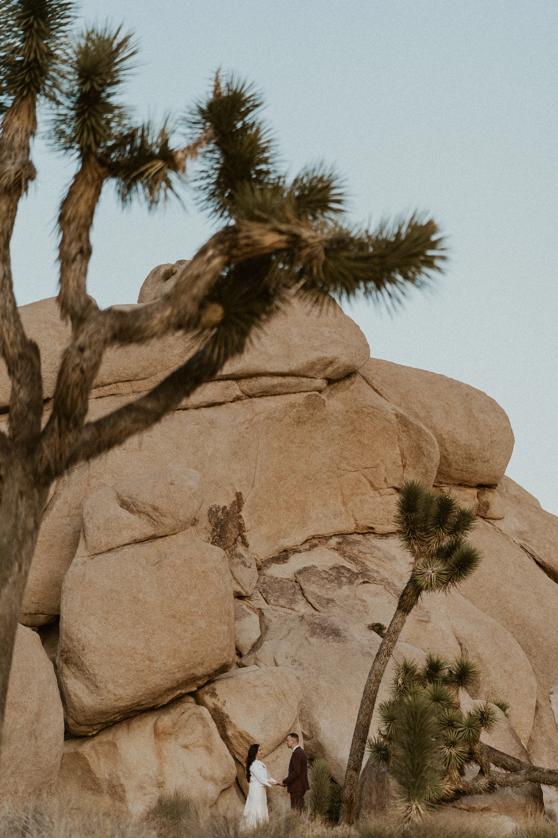 ale-cam-joshua-tree-national-park-elopement-lauren-turner-photography-09977.jpg