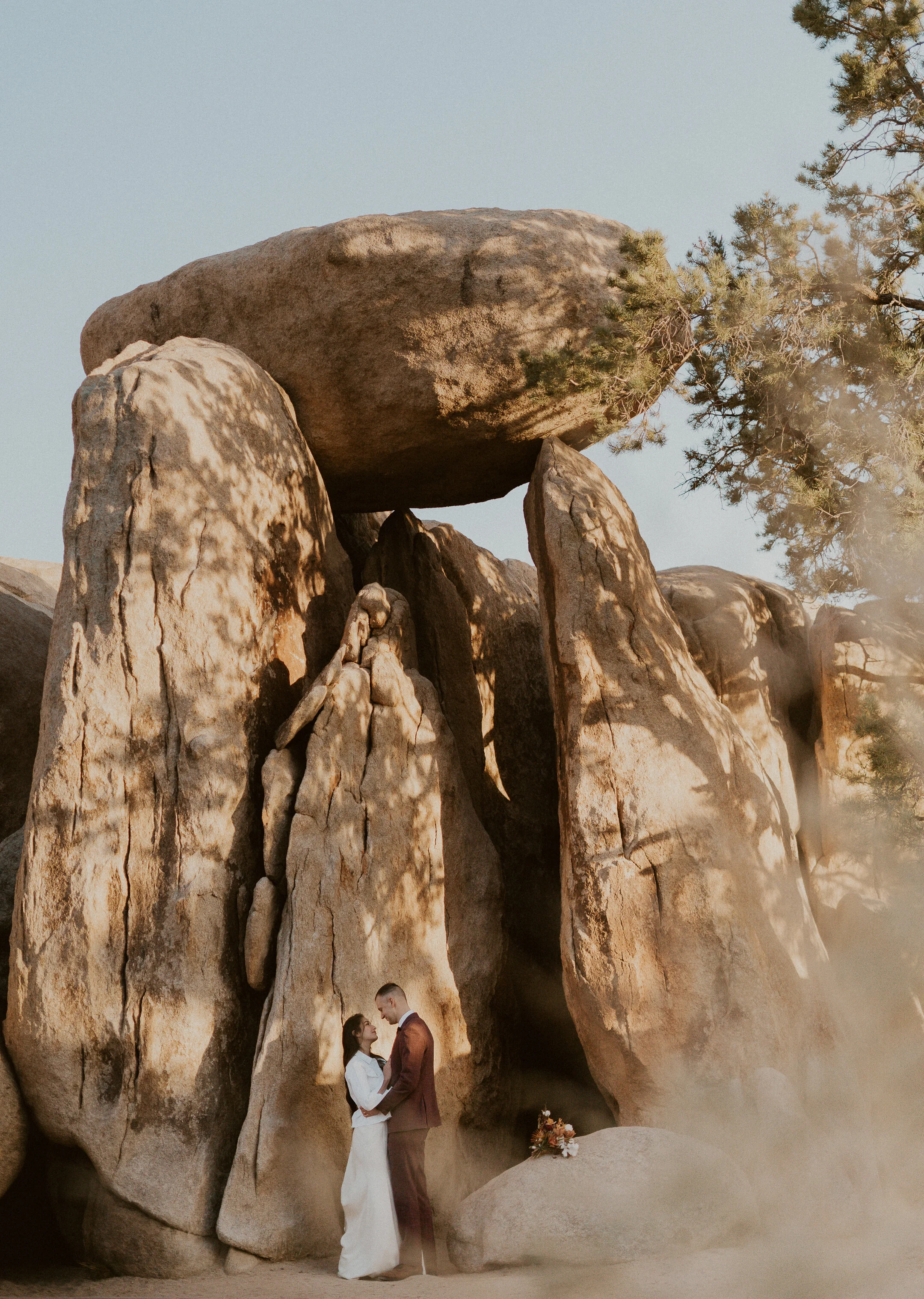 ale-cam-joshua-tree-national-park-elopement-lauren-turner-photography-01970.jpg