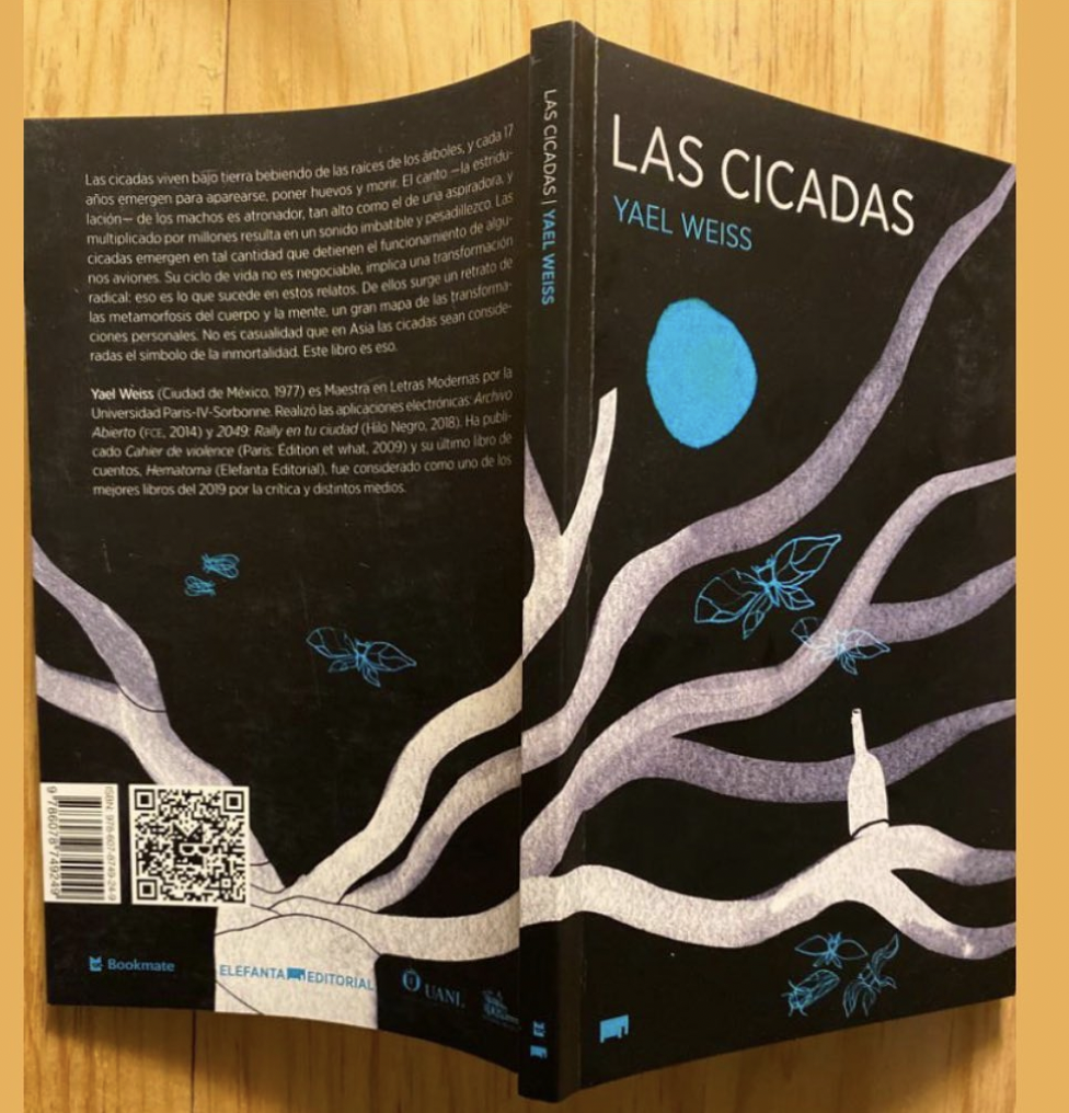 Captura de Pantalla 2022-07-13 a la(s) 12.27.42.png