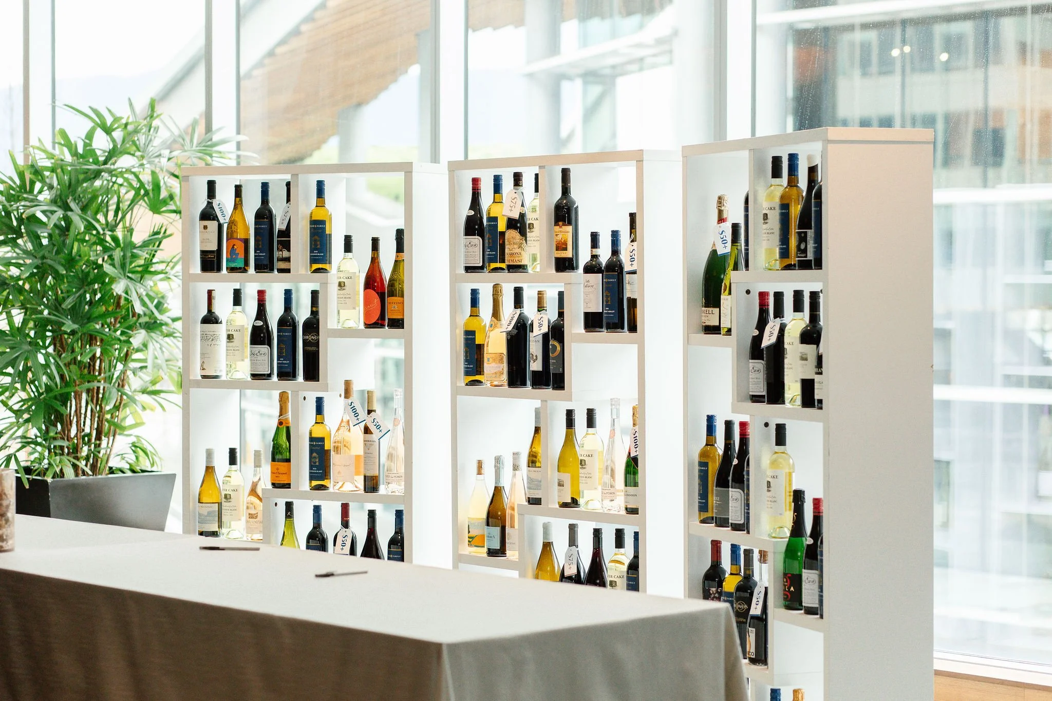 Looking-Glass-Foundation0017.JPG