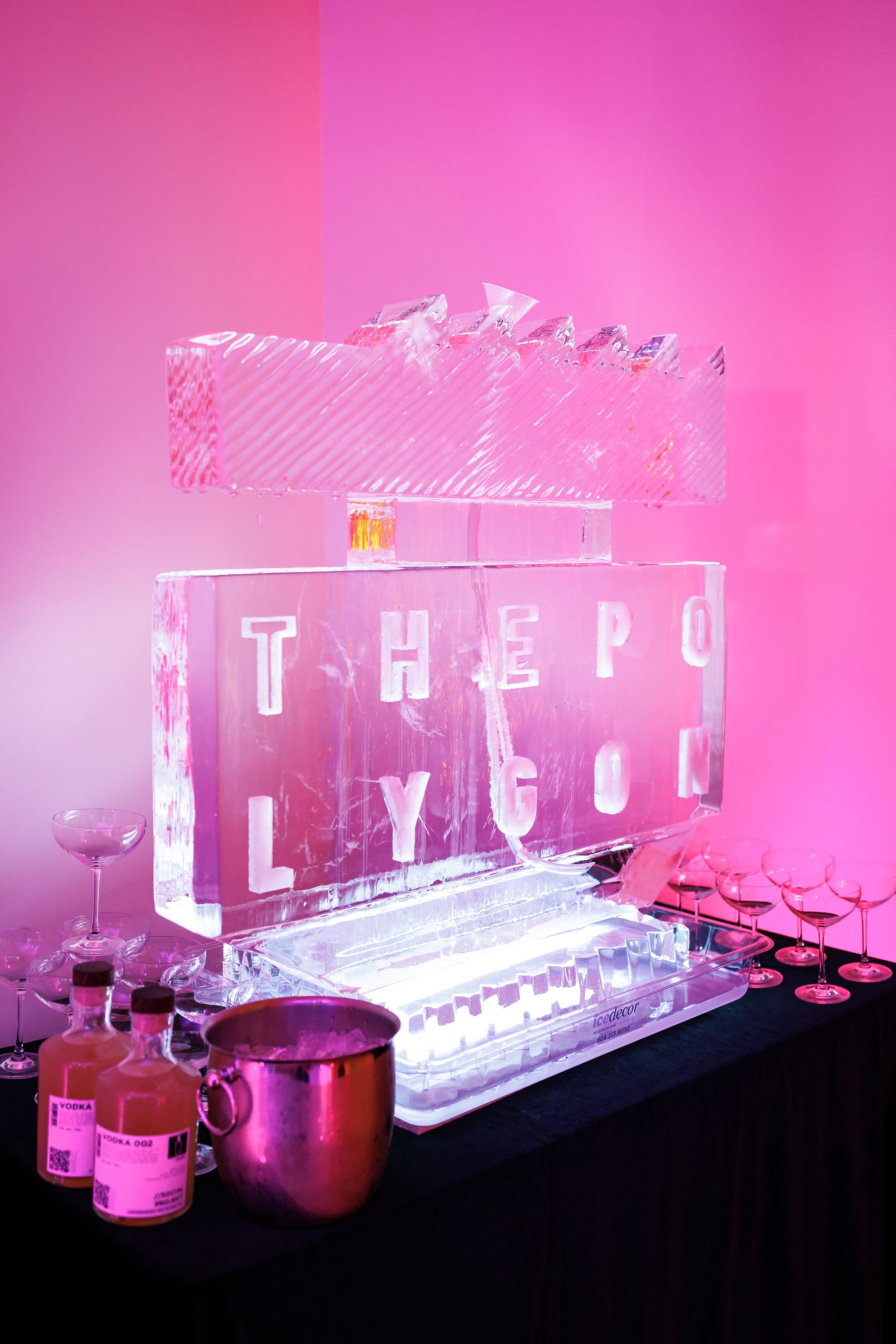 NorthVanMayorsGala_2024_0046_sWg.jpg