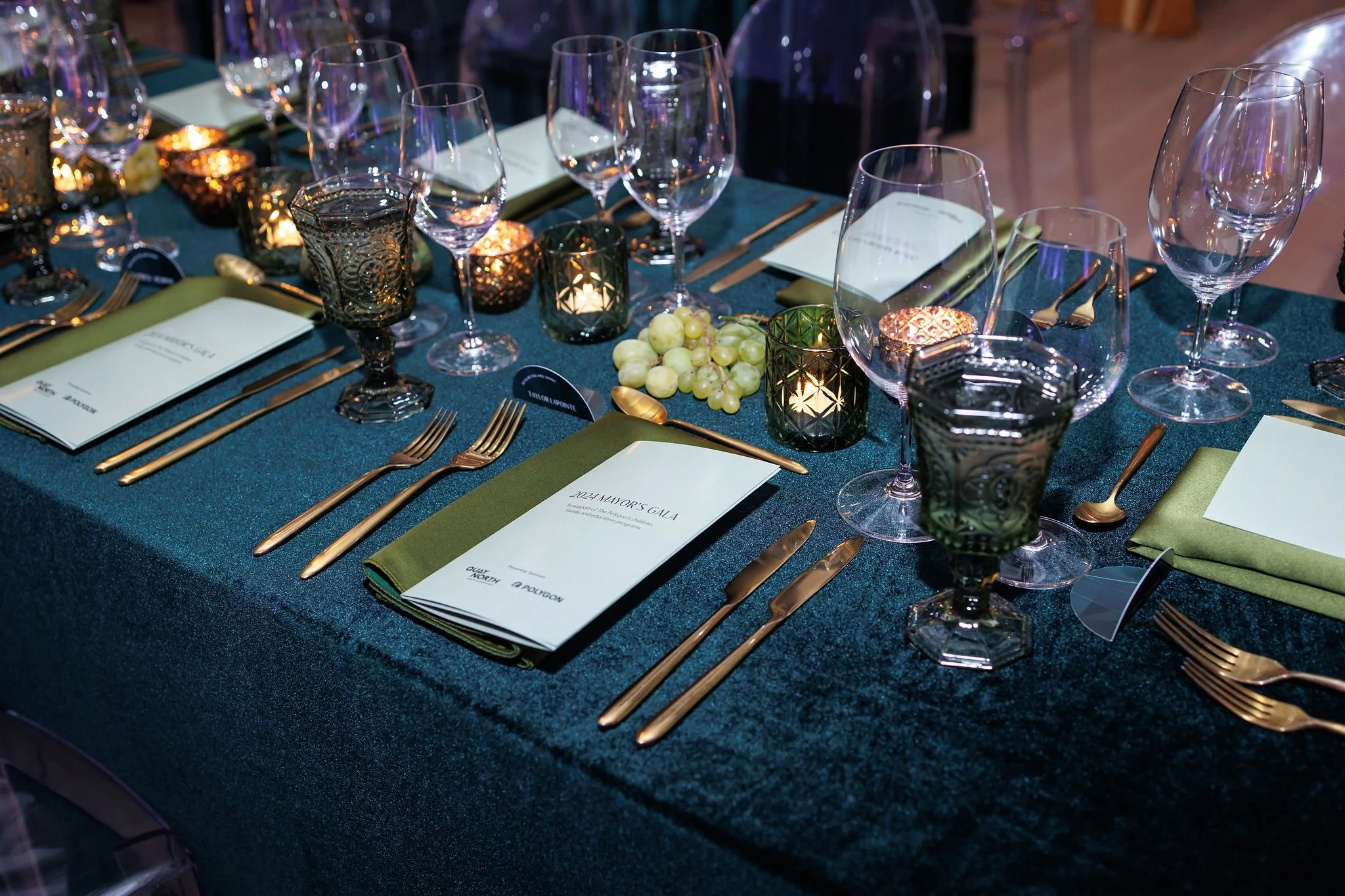 NorthVanMayorsGala_2024_0212.jpg