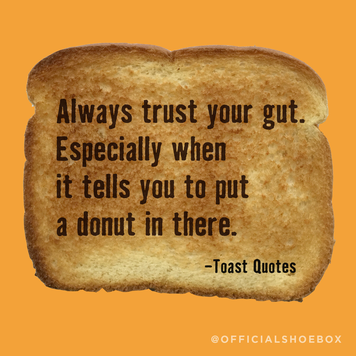 ToastQuotes-donut-gut.jpg