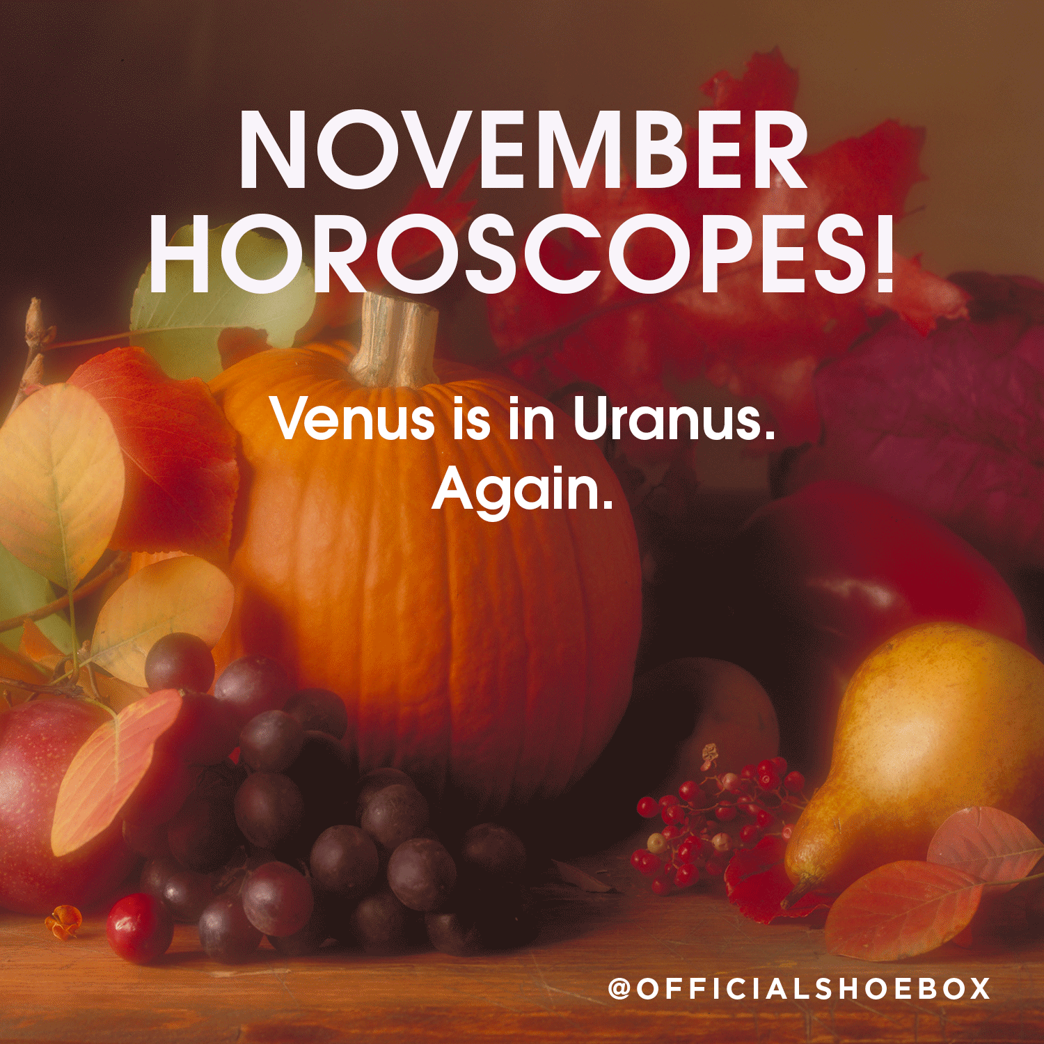 Month-Horoscopes---NOV.gif