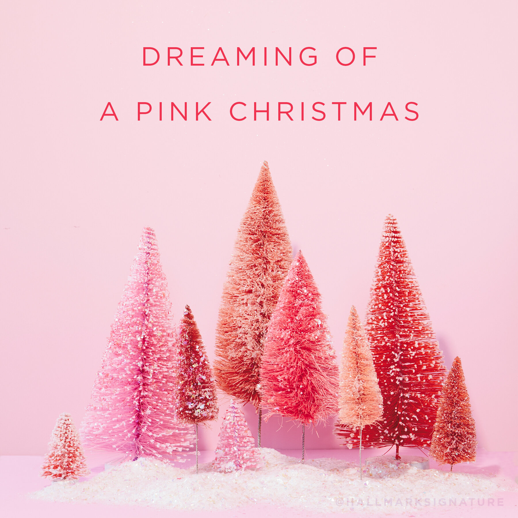 DEC-17-SUN-pinkchristmas.jpg