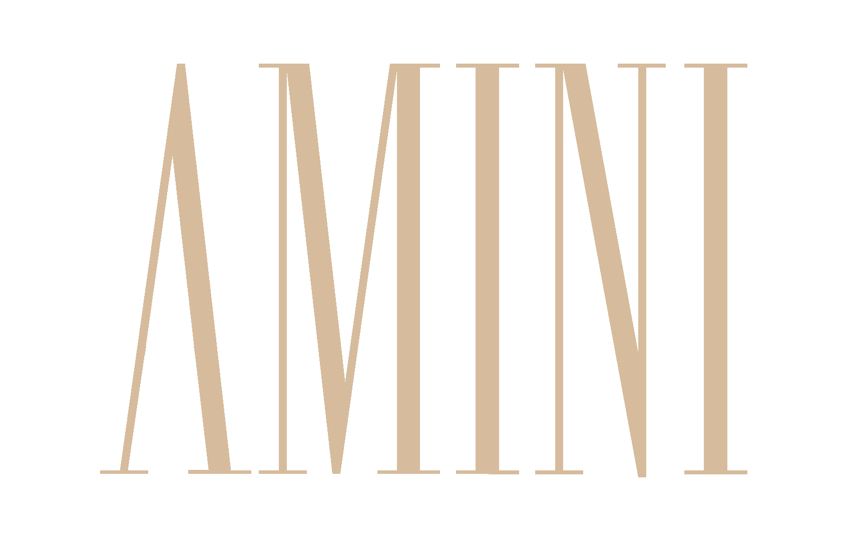 AMINI