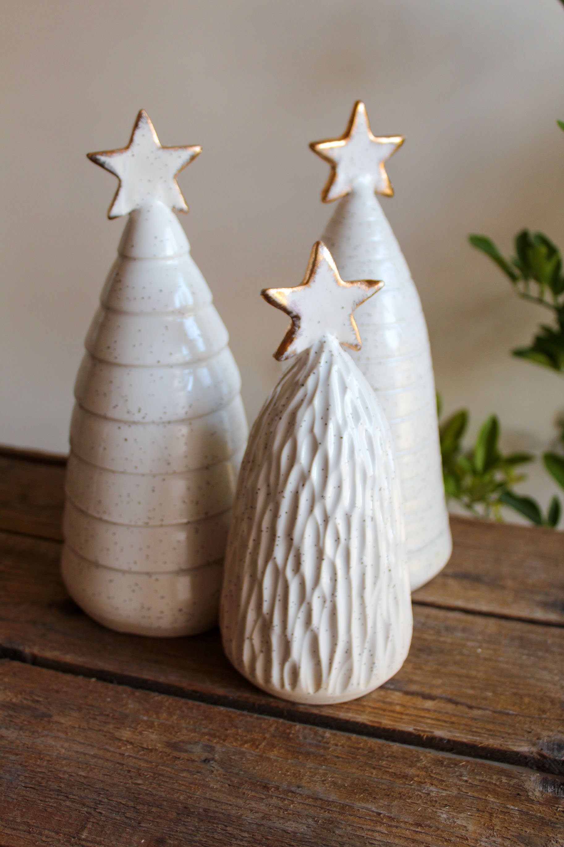 whitetrees2025-3.jpg (Copy) (Copy)