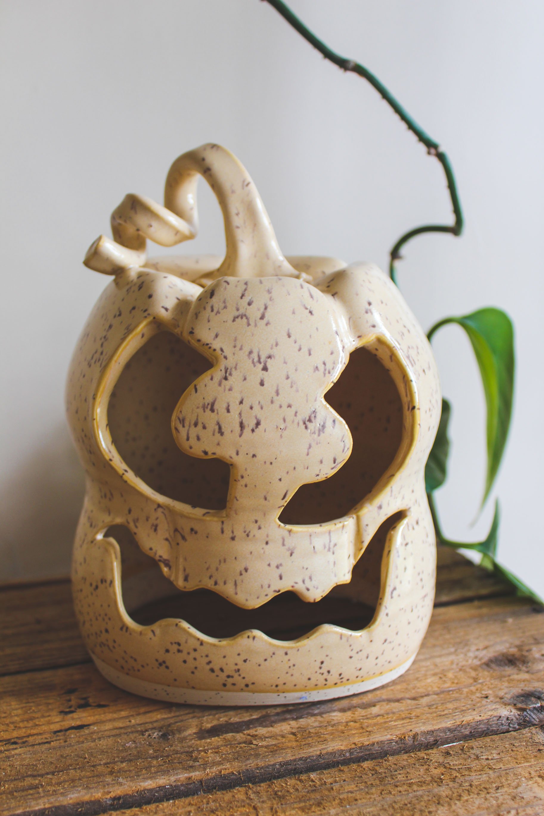 SFpumpkin225-2.jpg