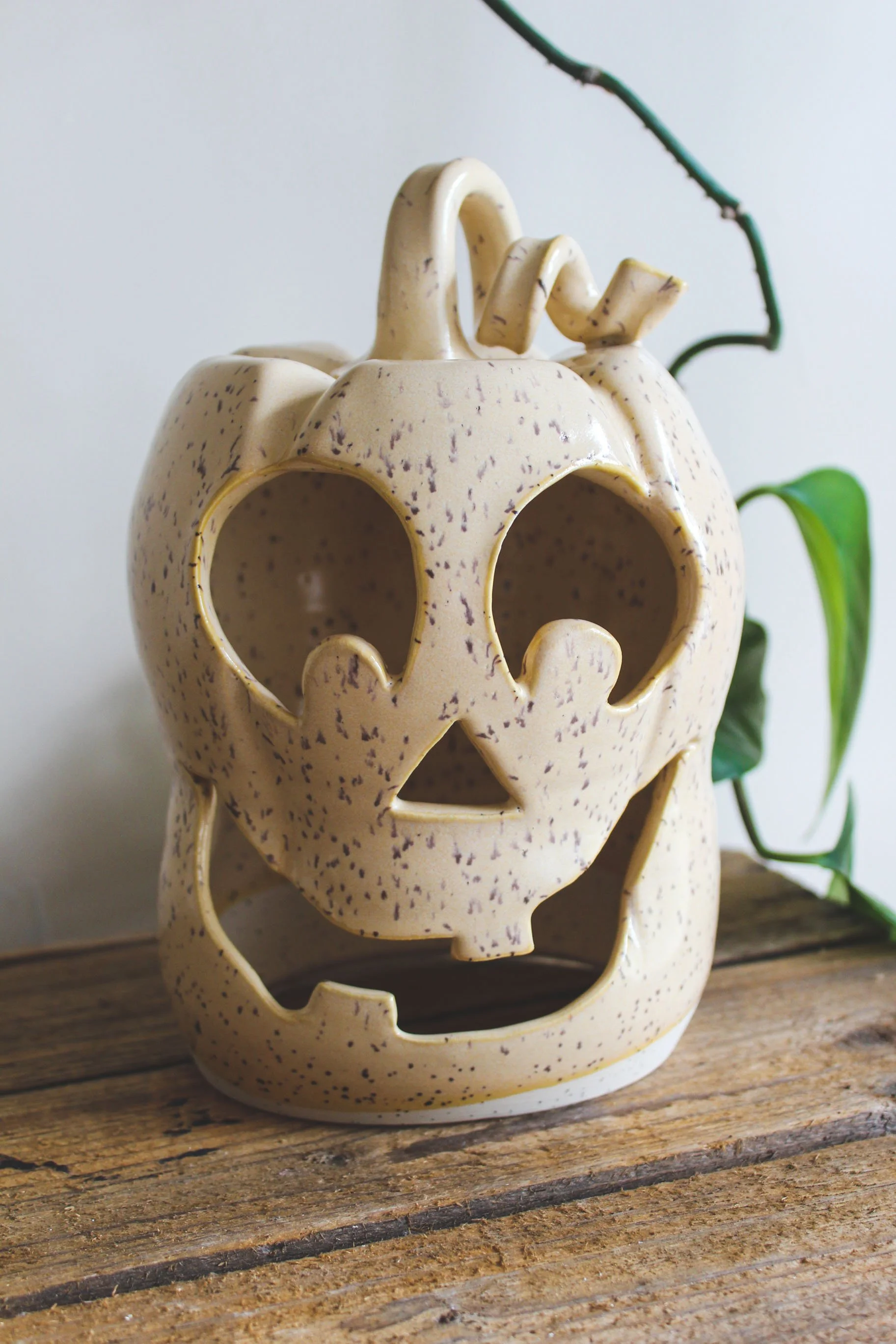 SFpumpkin225-2.jpg
