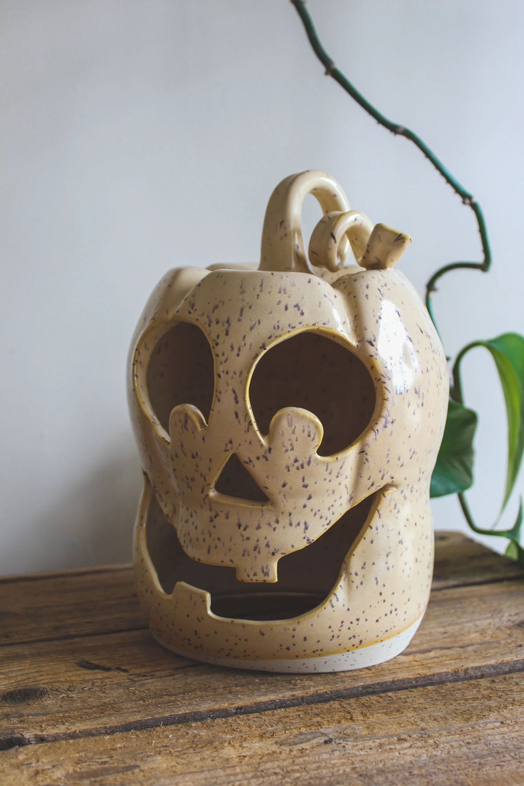 SFpumpkin225-5.jpg