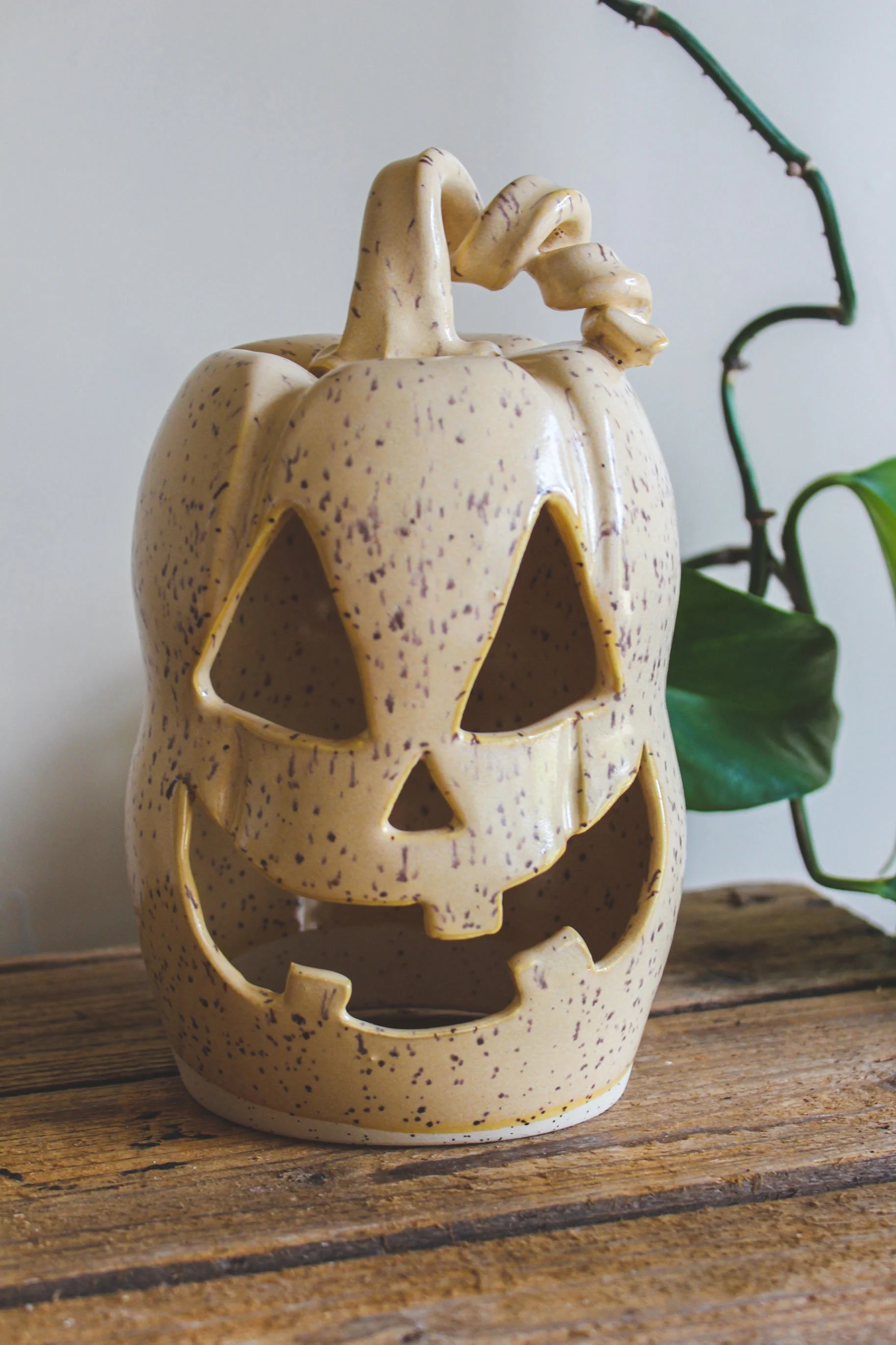 SFpumpkin125.jpg