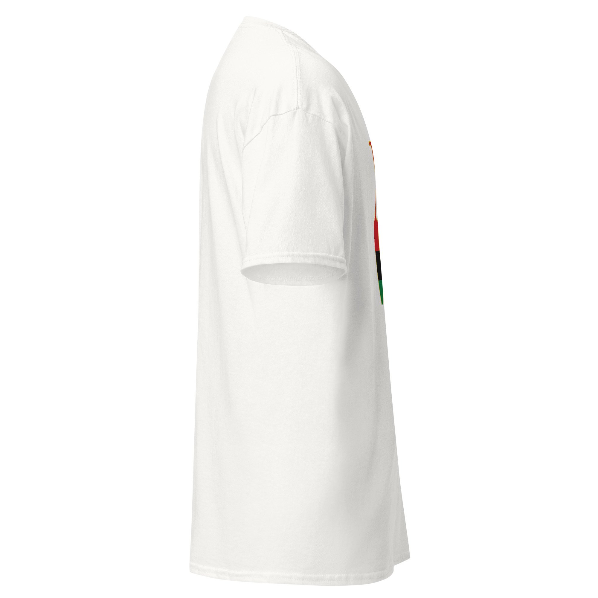 unisex-classic-tee-white-right-6a5d876190559.jpg