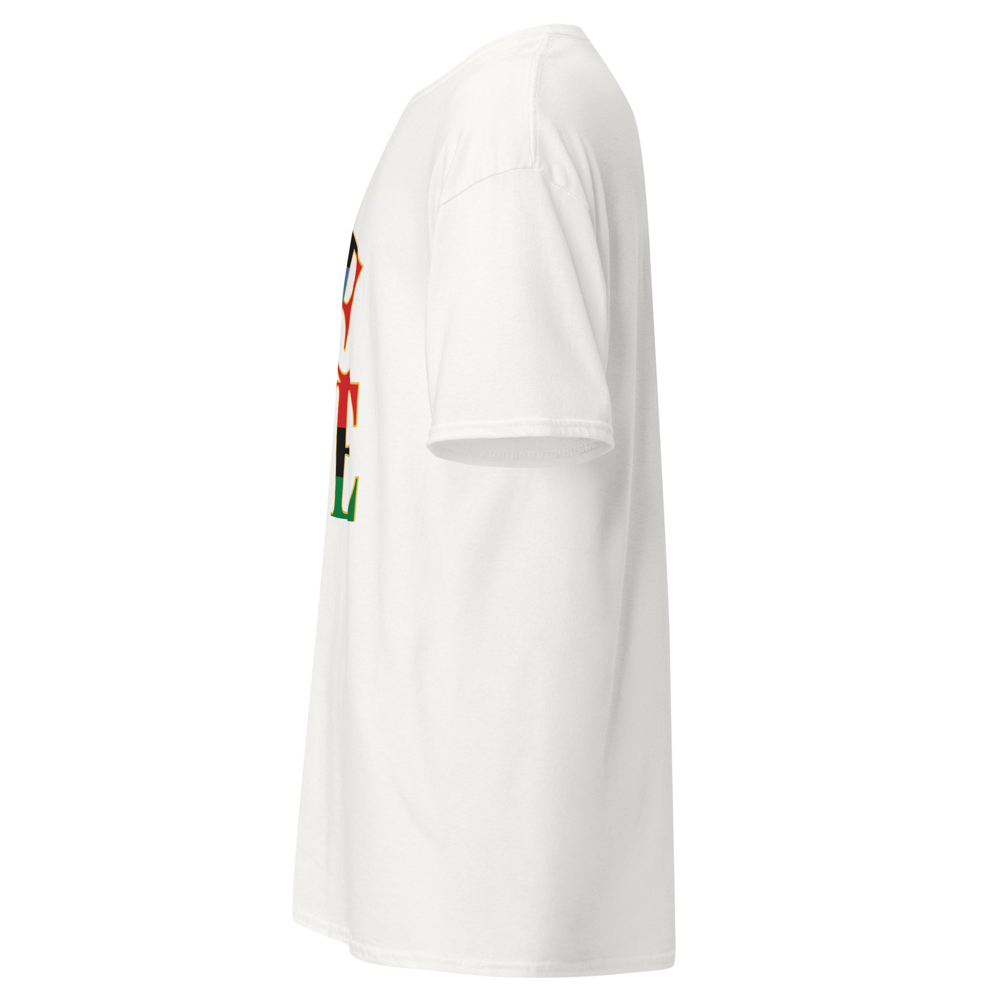 unisex-classic-tee-white-left-6a5d876191300.jpg