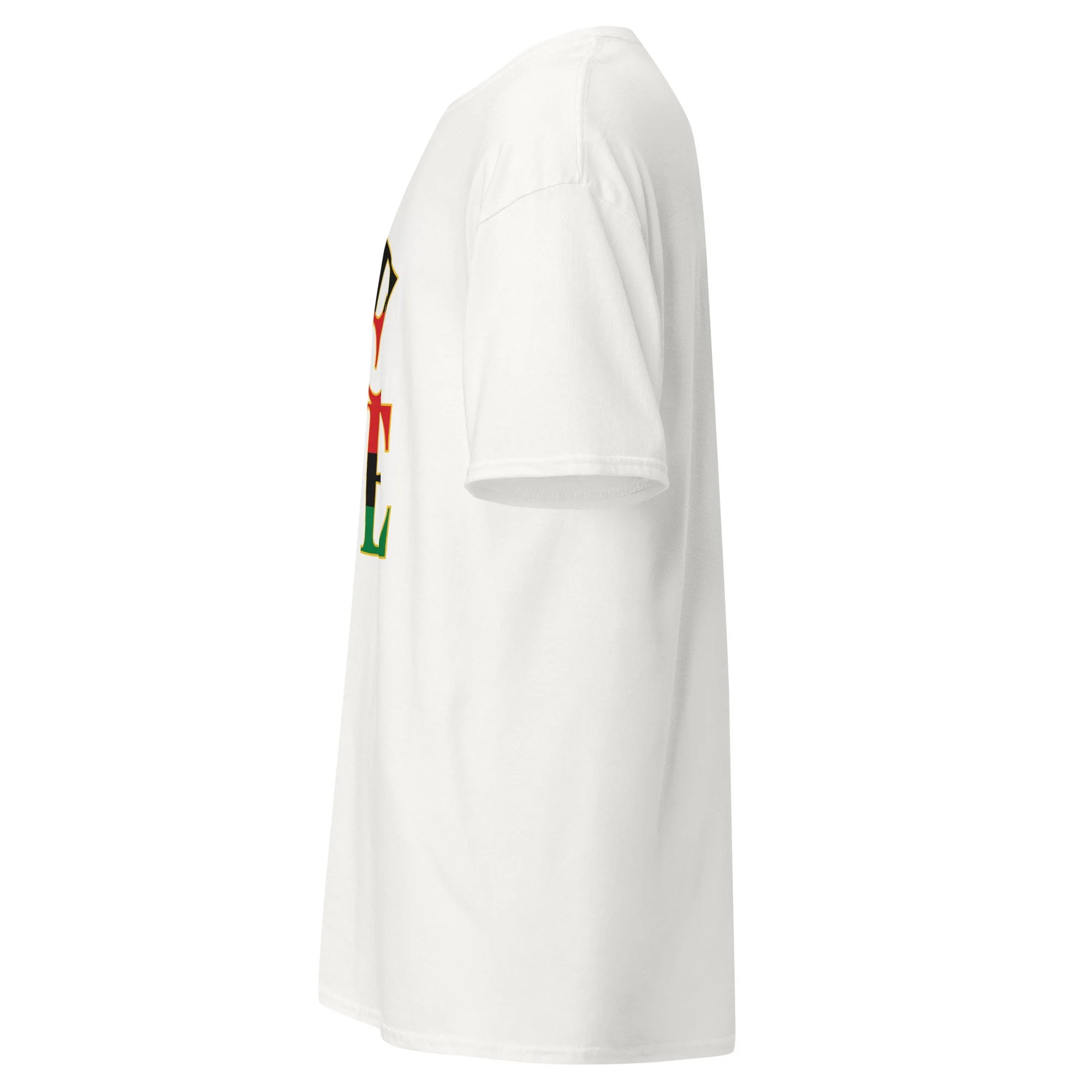 unisex-classic-tee-white-left-6a5d8c3f500b2.jpg