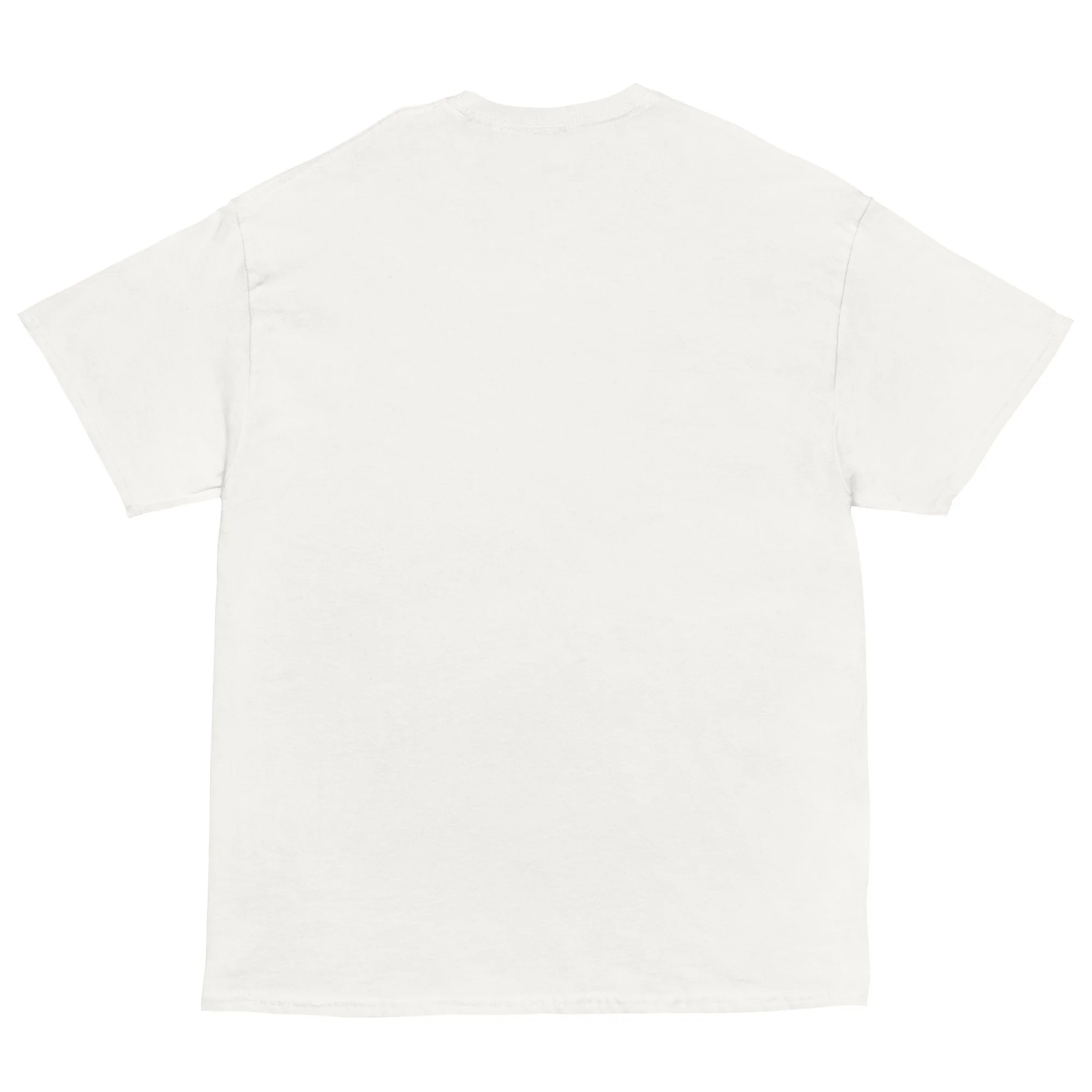 unisex-classic-tee-white-back-6a5d8c3f4f093.jpg