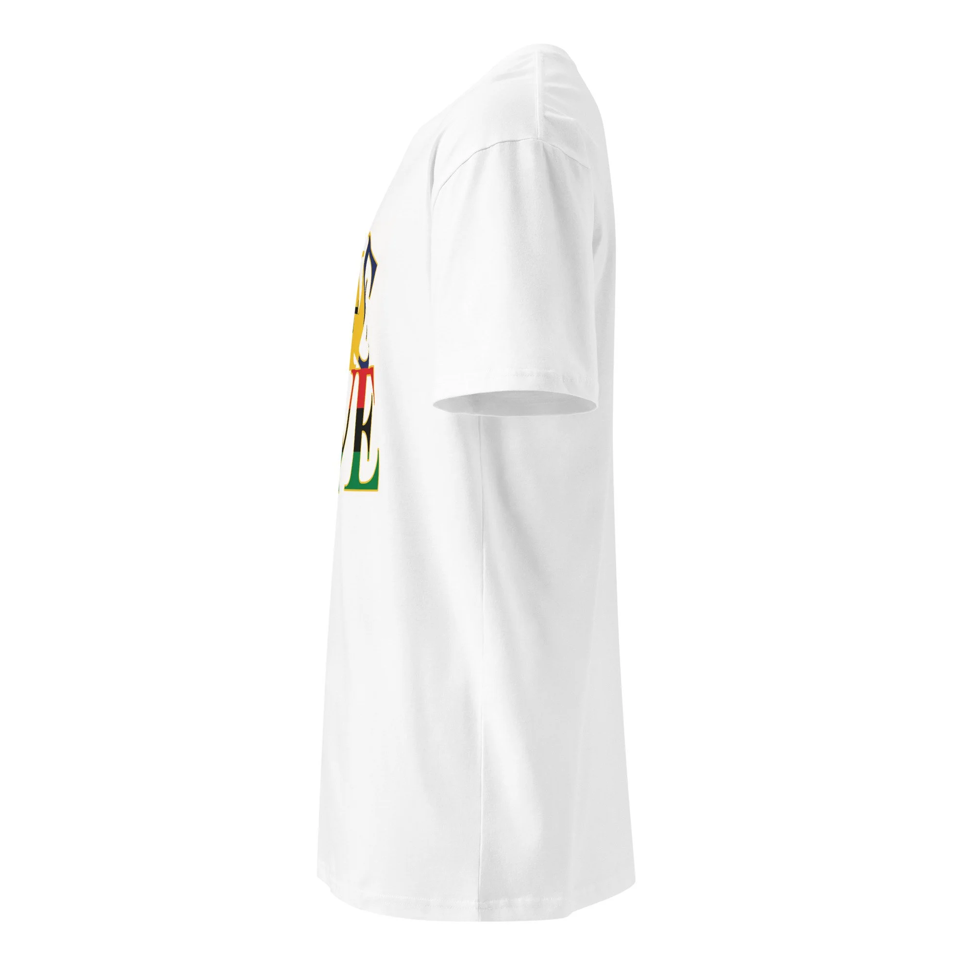 unisex-premium-t-shirt-white-left-6a5dc97450bae.jpg