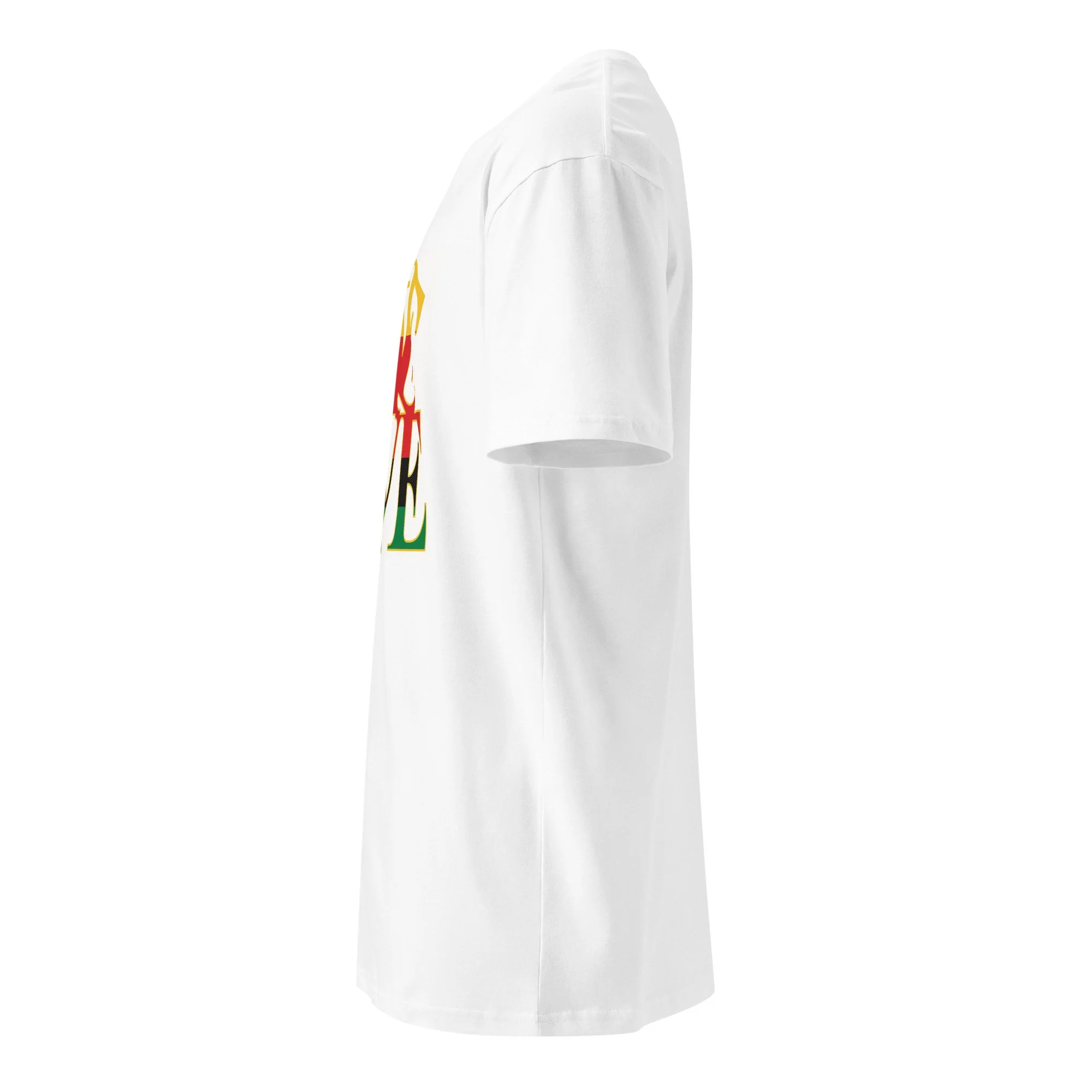 unisex-premium-t-shirt-white-left-6a5dcdb75fee1.jpg