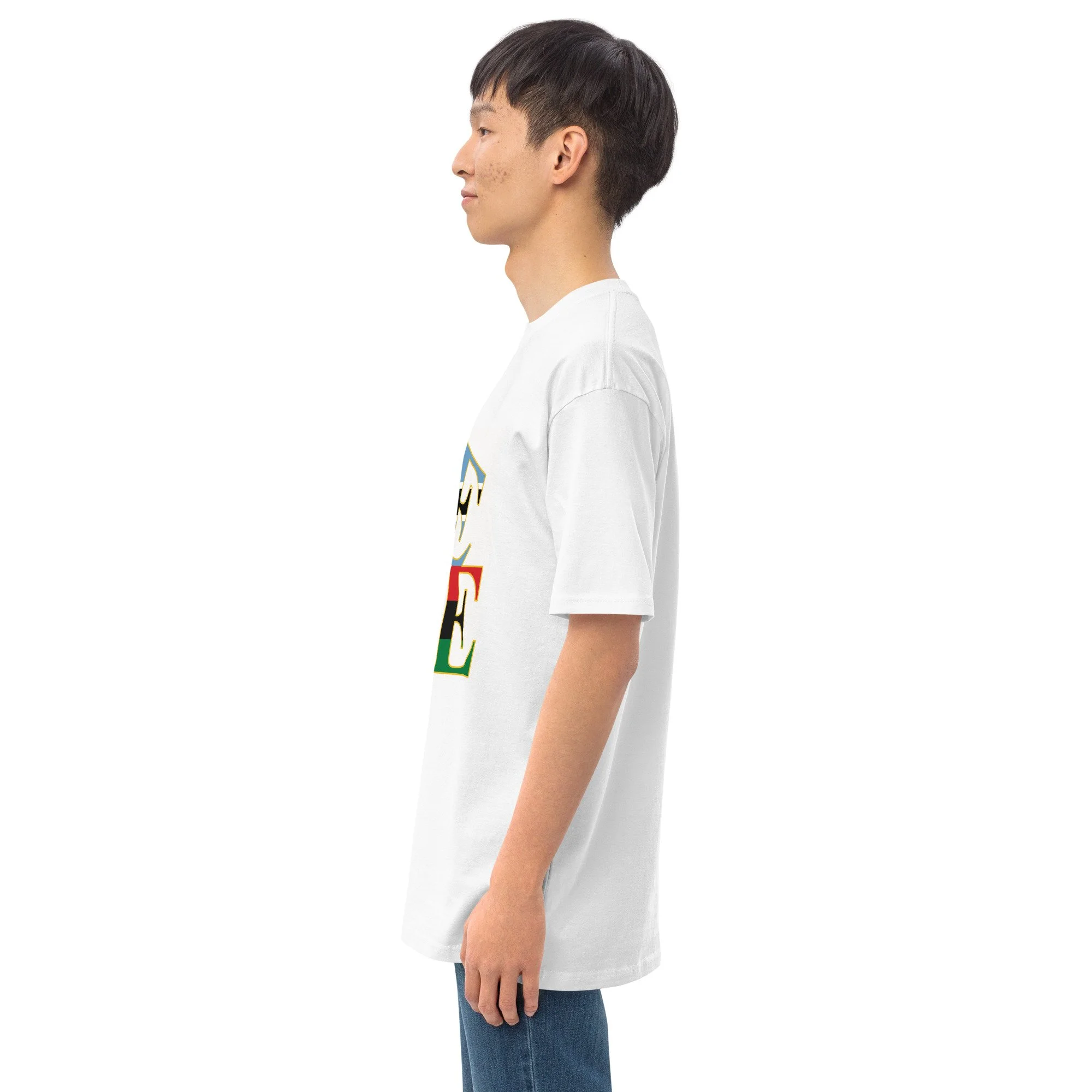 mens-premium-heavyweight-tee-white-left-6a5dcfe62be53.jpg
