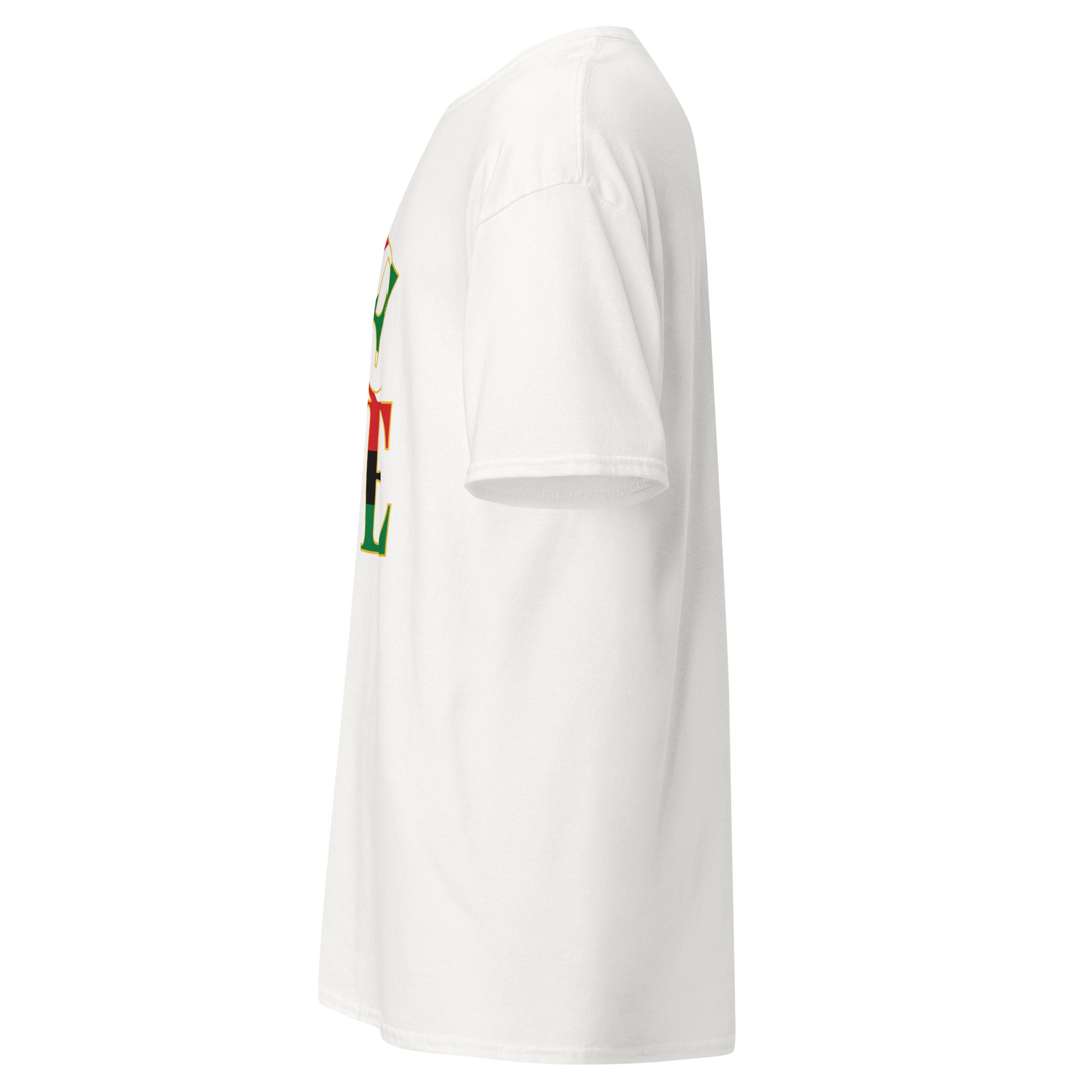 unisex-classic-tee-white-left-6a5dd468e5d8a.jpg