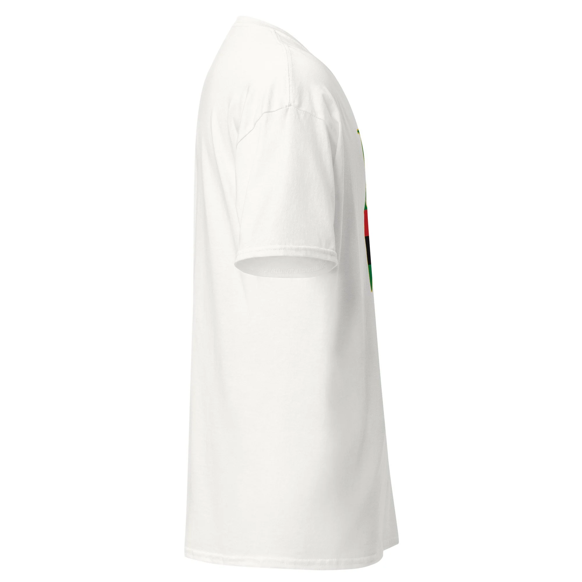 unisex-classic-tee-white-right-6a5e031dc90d3.jpg