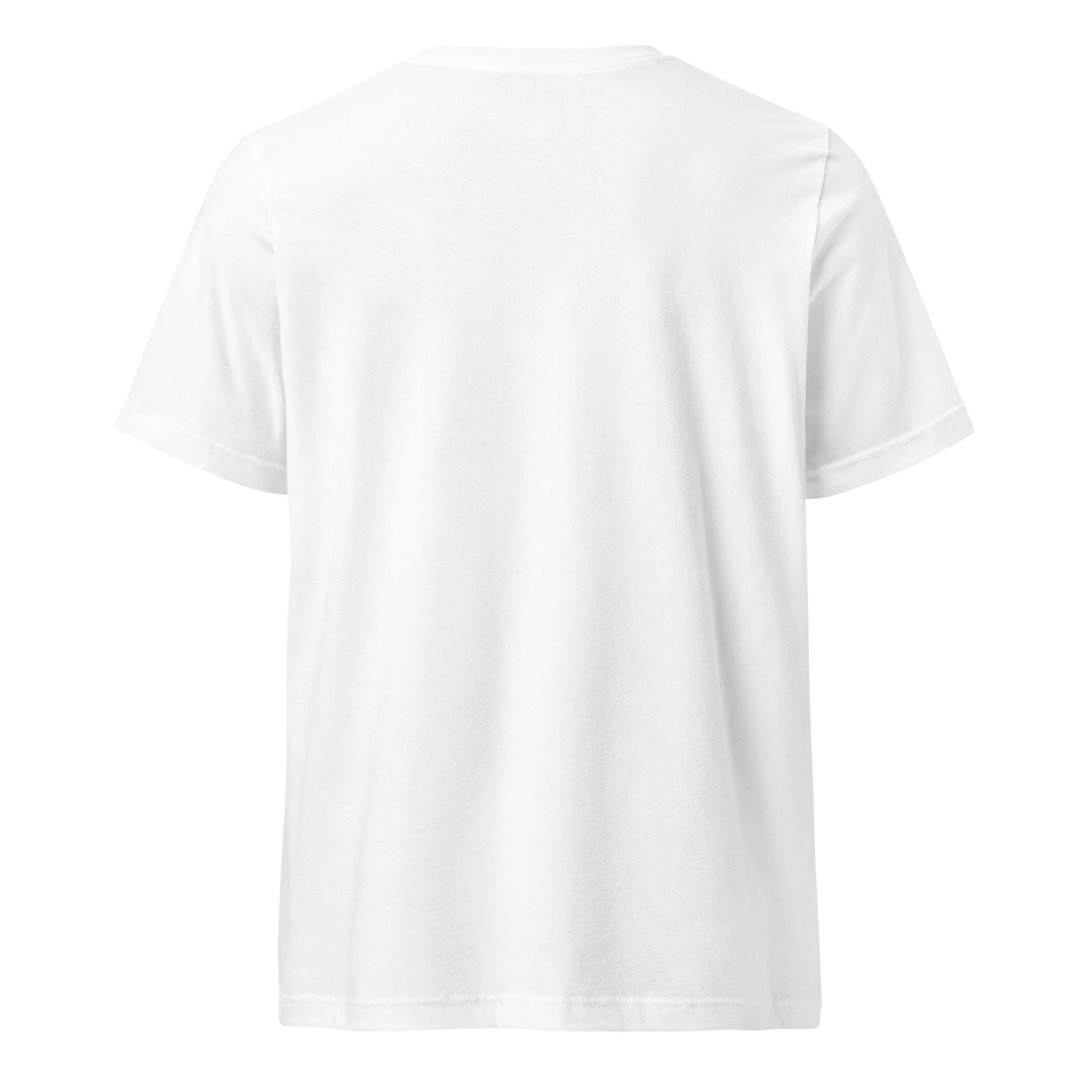 unisex-v-neck-tee-white-back-6a5e0831980b1.jpg