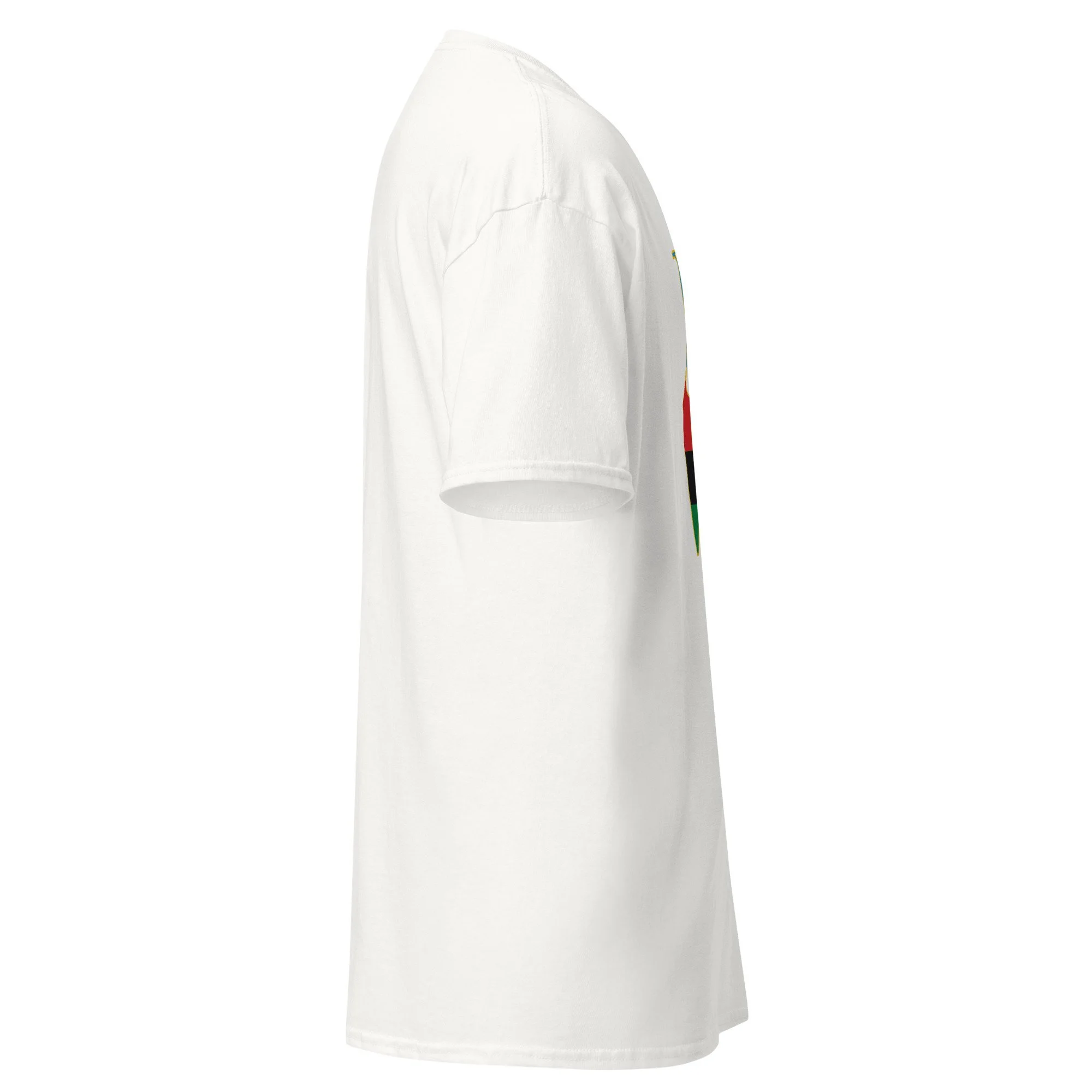 unisex-classic-tee-white-right-6a5e0c7ab3eb6.jpg