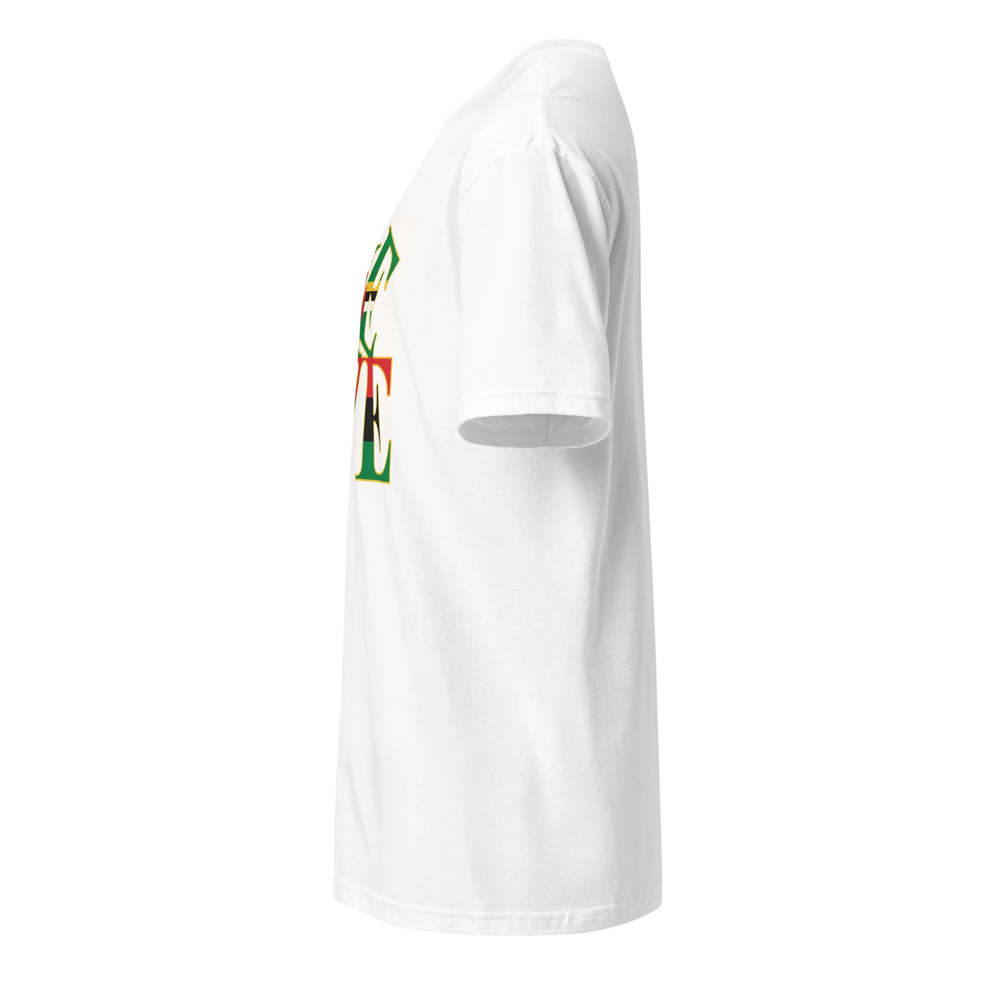 unisex-basic-softstyle-t-shirt-white-left-6a5e11370a426.jpg