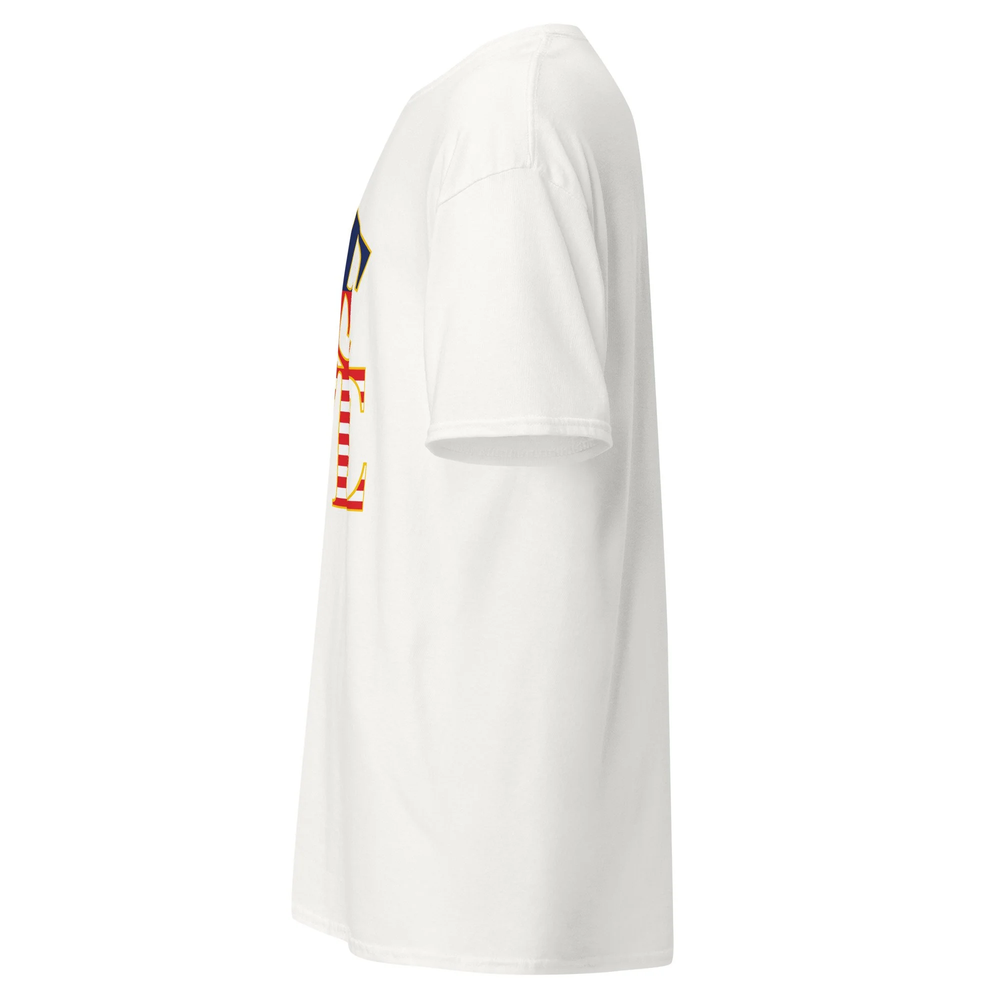 unisex-classic-tee-white-left-6a5f7d22b54df.jpg