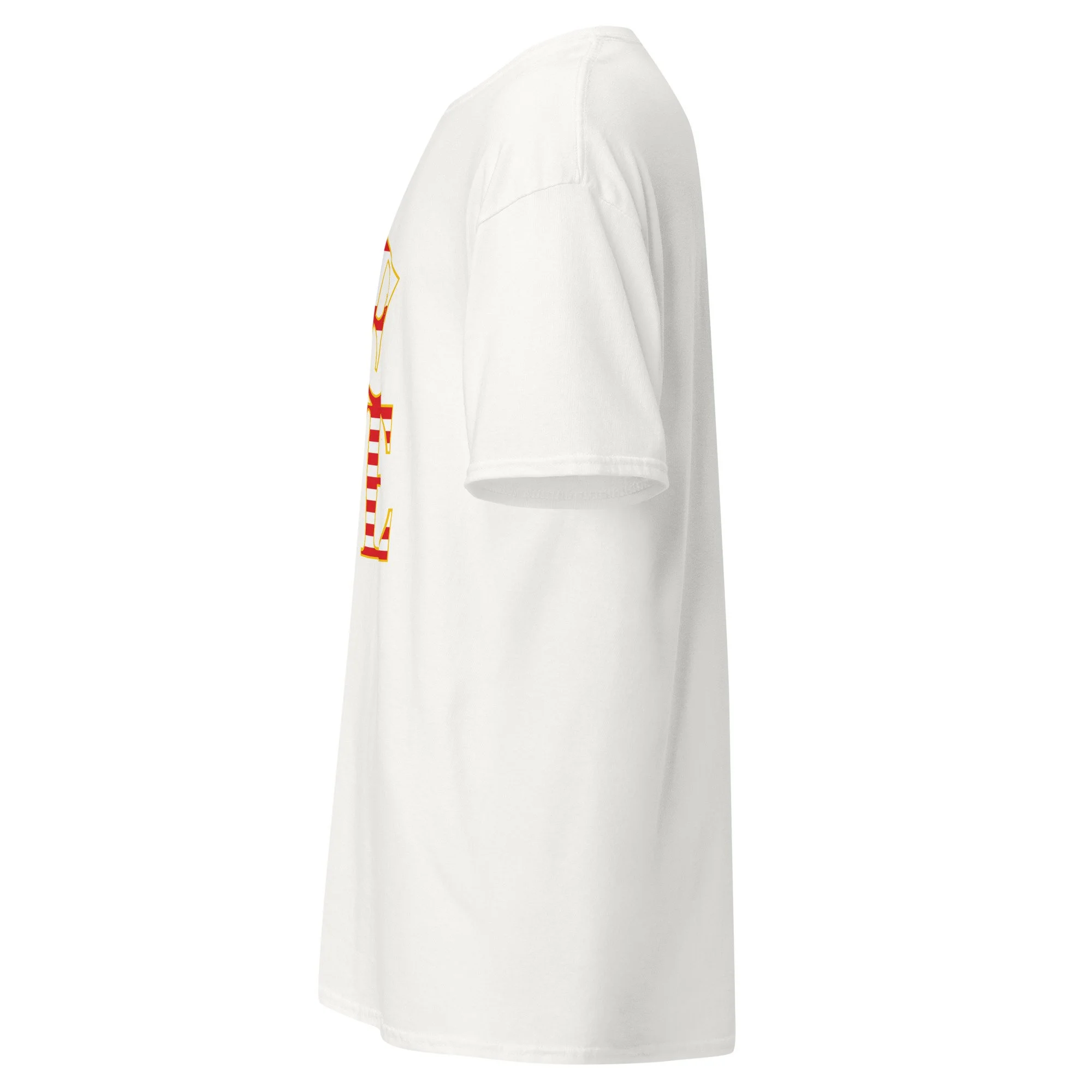 unisex-classic-tee-white-left-6a60da723f17b.jpg