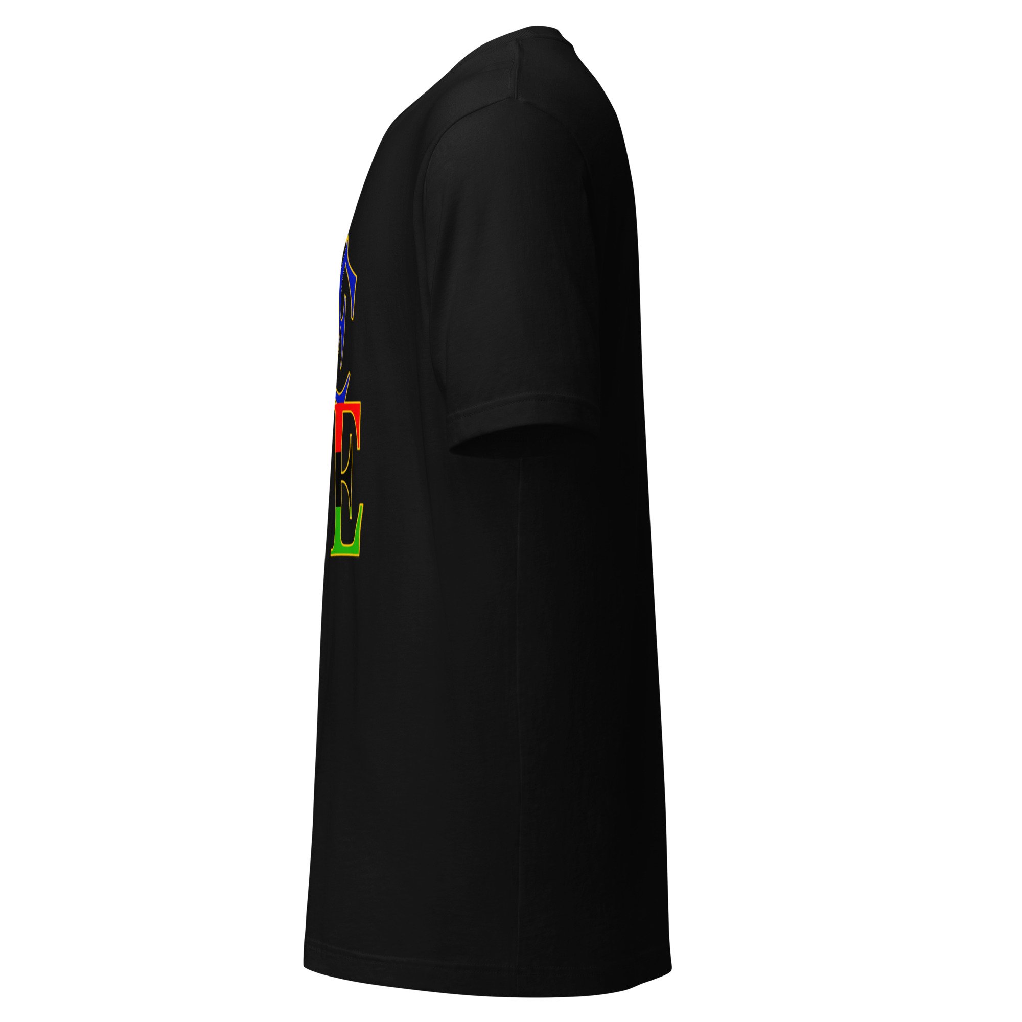 unisex-staple-t-shirt-black-left-6a7a3f12e37b0.jpg