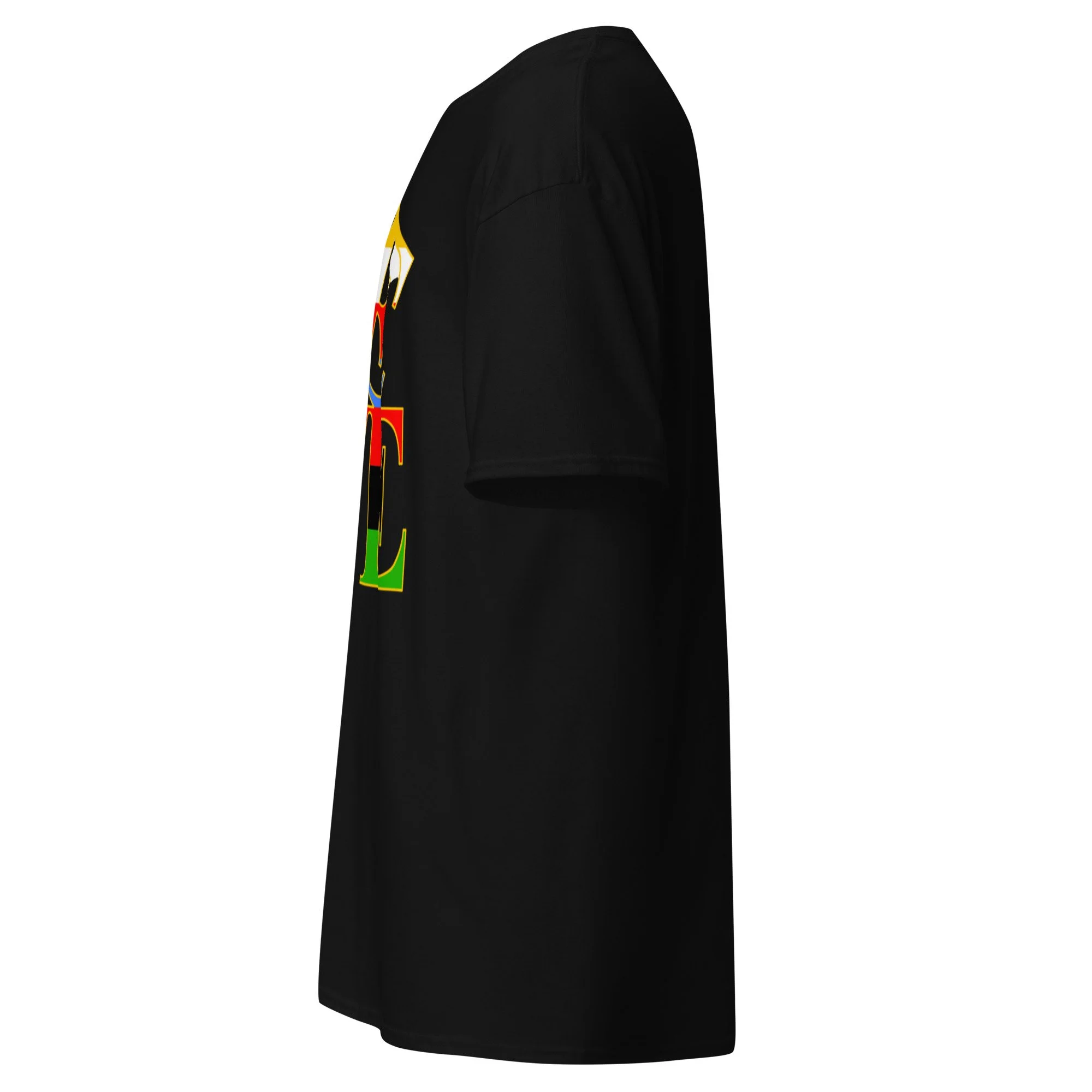 unisex-classic-tee-black-left-6a7a5abd682b1.jpg