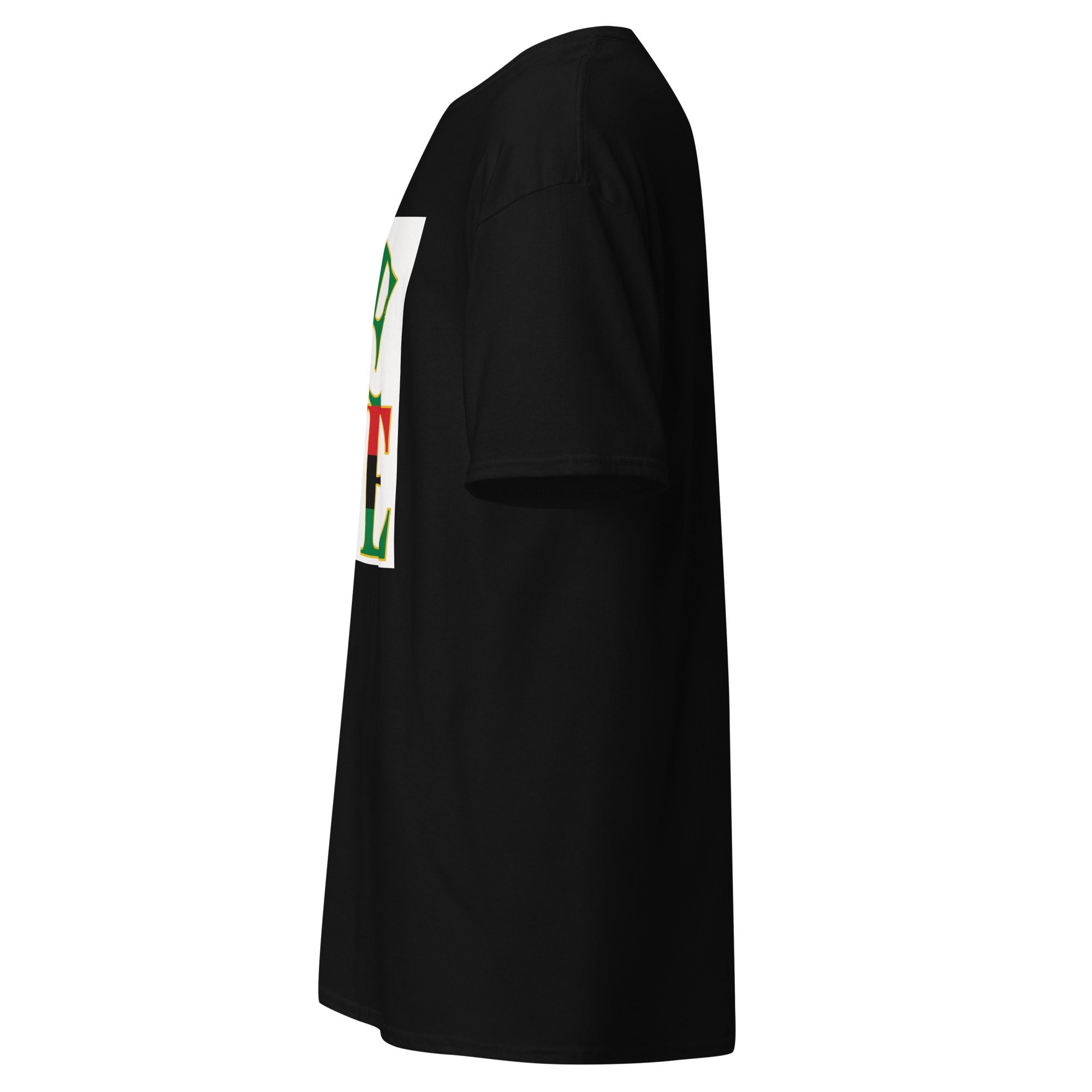 unisex-classic-tee-black-left-6a7b36265966f.jpg