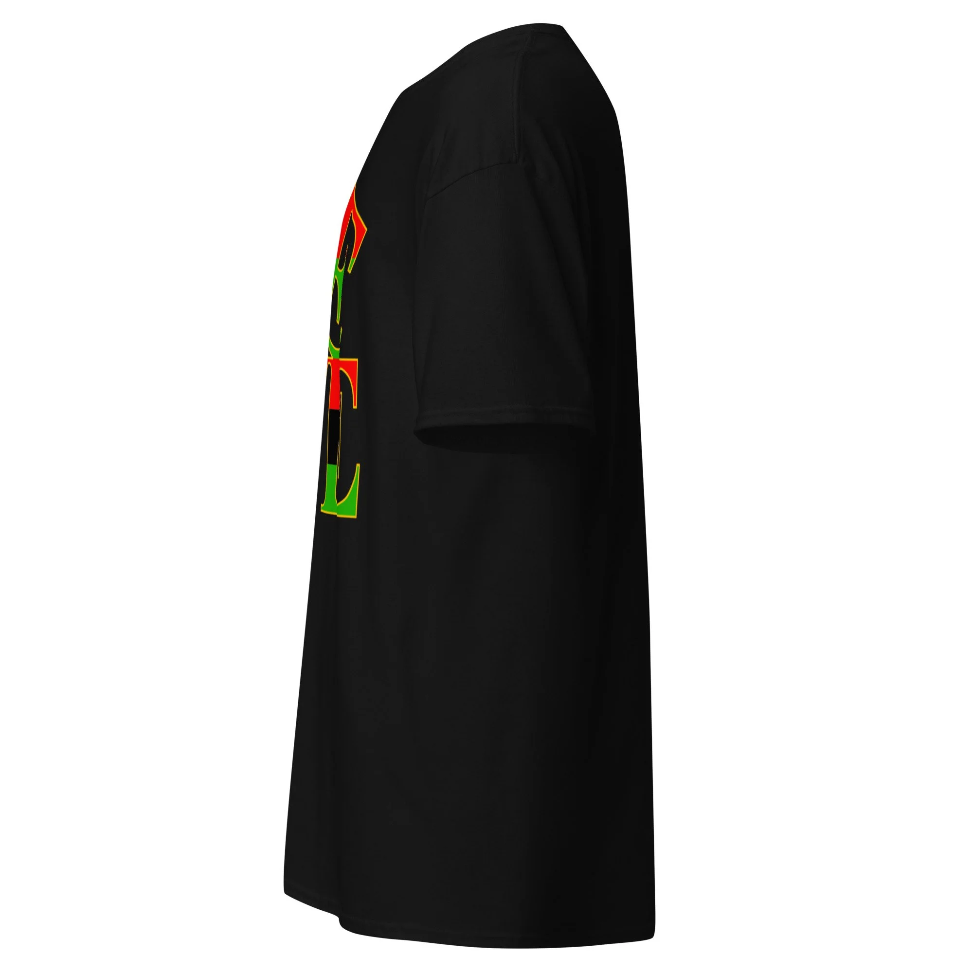 unisex-classic-tee-black-left-6a7c5474c2b4f.jpg