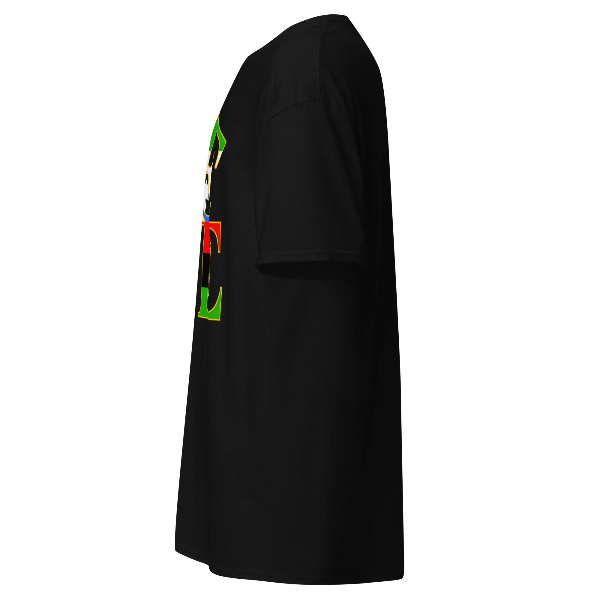 unisex-classic-tee-black-left-6a7c82acc047c.jpg