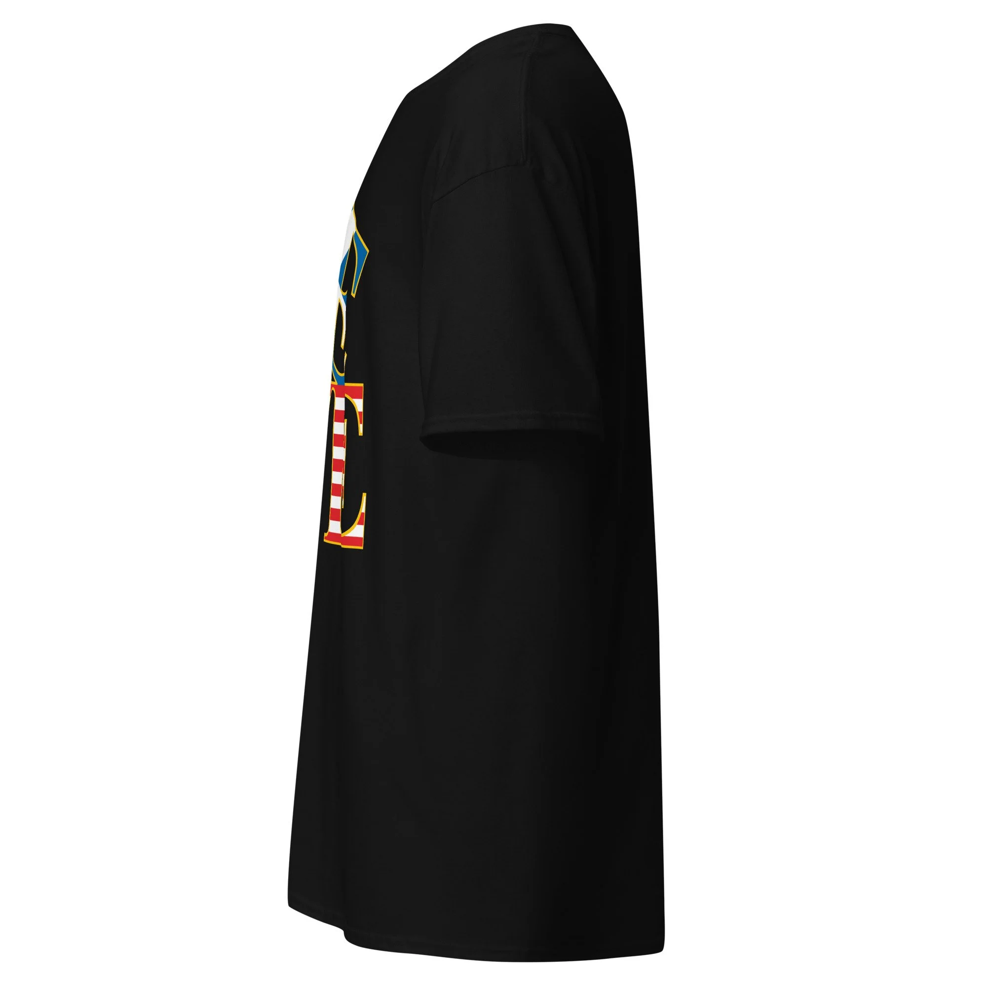unisex-classic-tee-black-left-6a7d54e1433f6.jpg