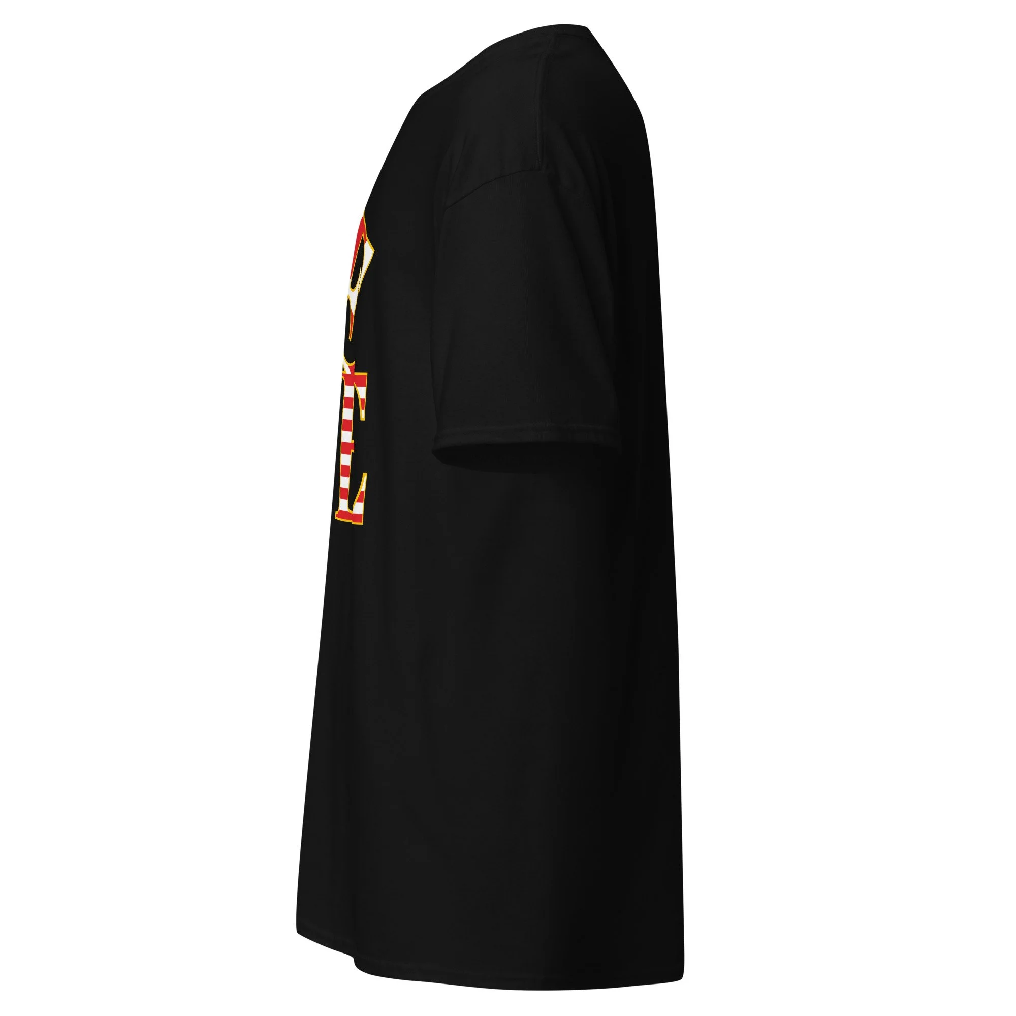 unisex-classic-tee-black-left-6a7f0f402b006.jpg