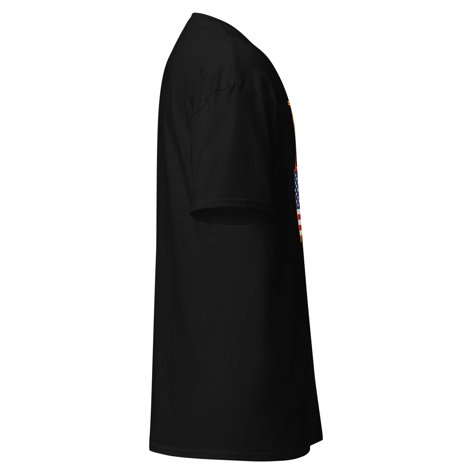 unisex-classic-tee-black-right-6a82f4f7481f7.jpg