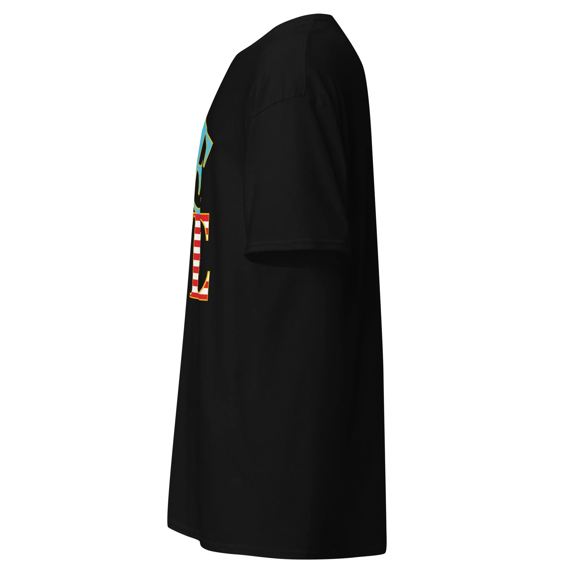 unisex-classic-tee-black-left-6a830e5535c01.jpg