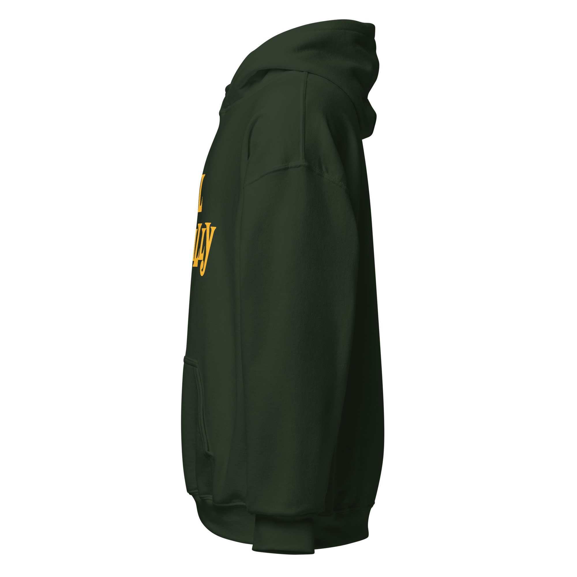 unisex-heavy-blend-hoodie-forest-green-left-6a94664cd24fe.jpg
