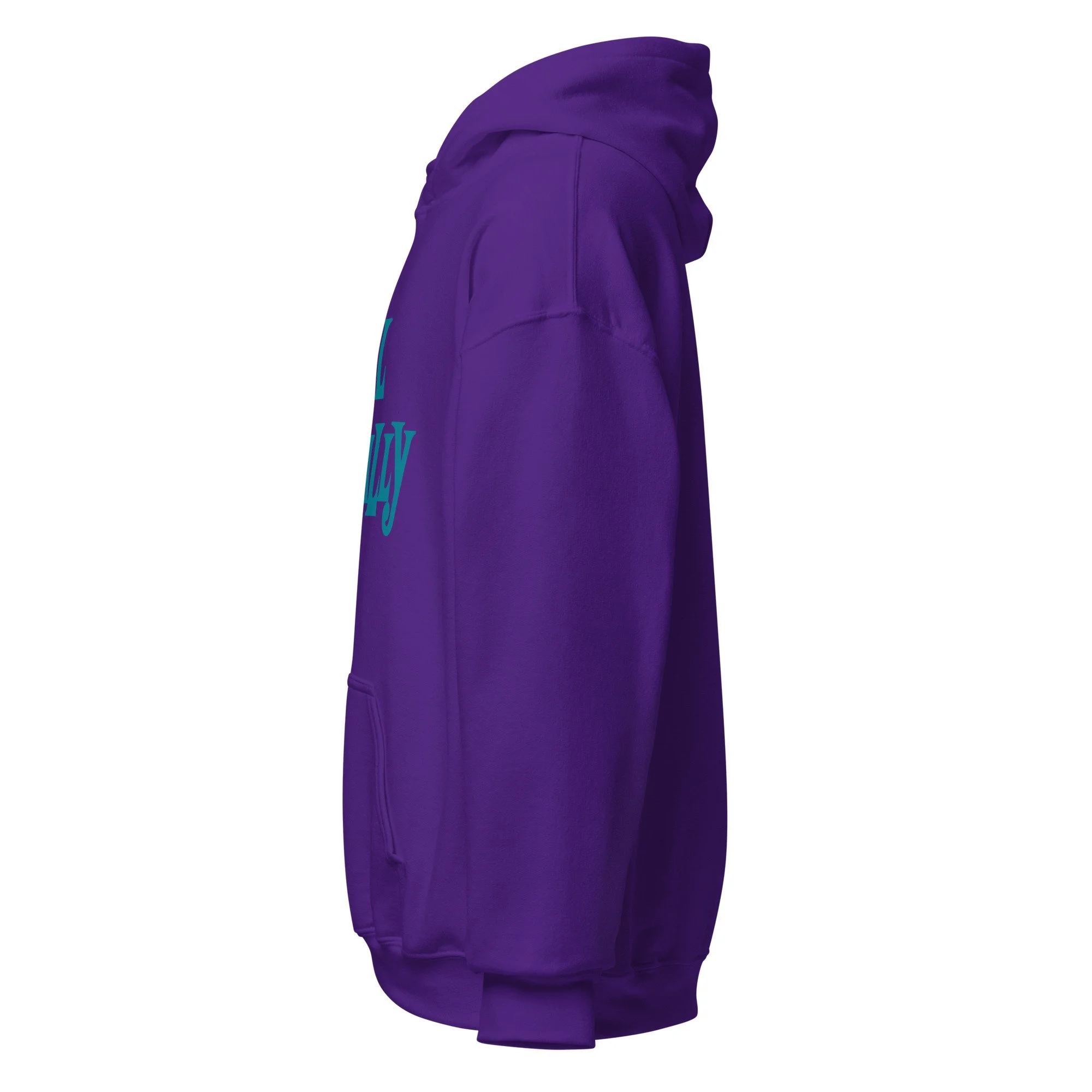 unisex-heavy-blend-hoodie-purple-left-6a94699462f79.jpg