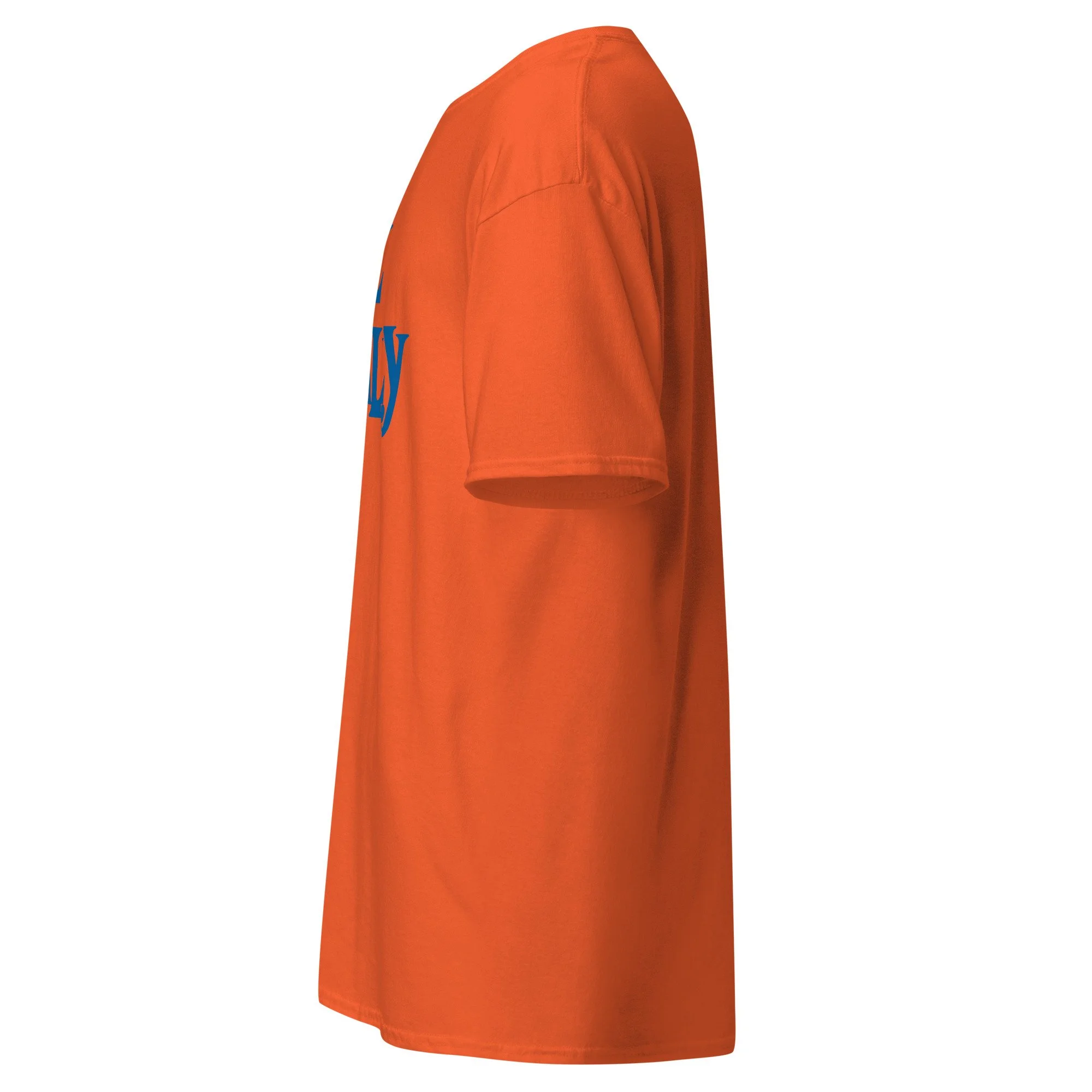 unisex-classic-tee-orange-left-6a95d13847879.jpg